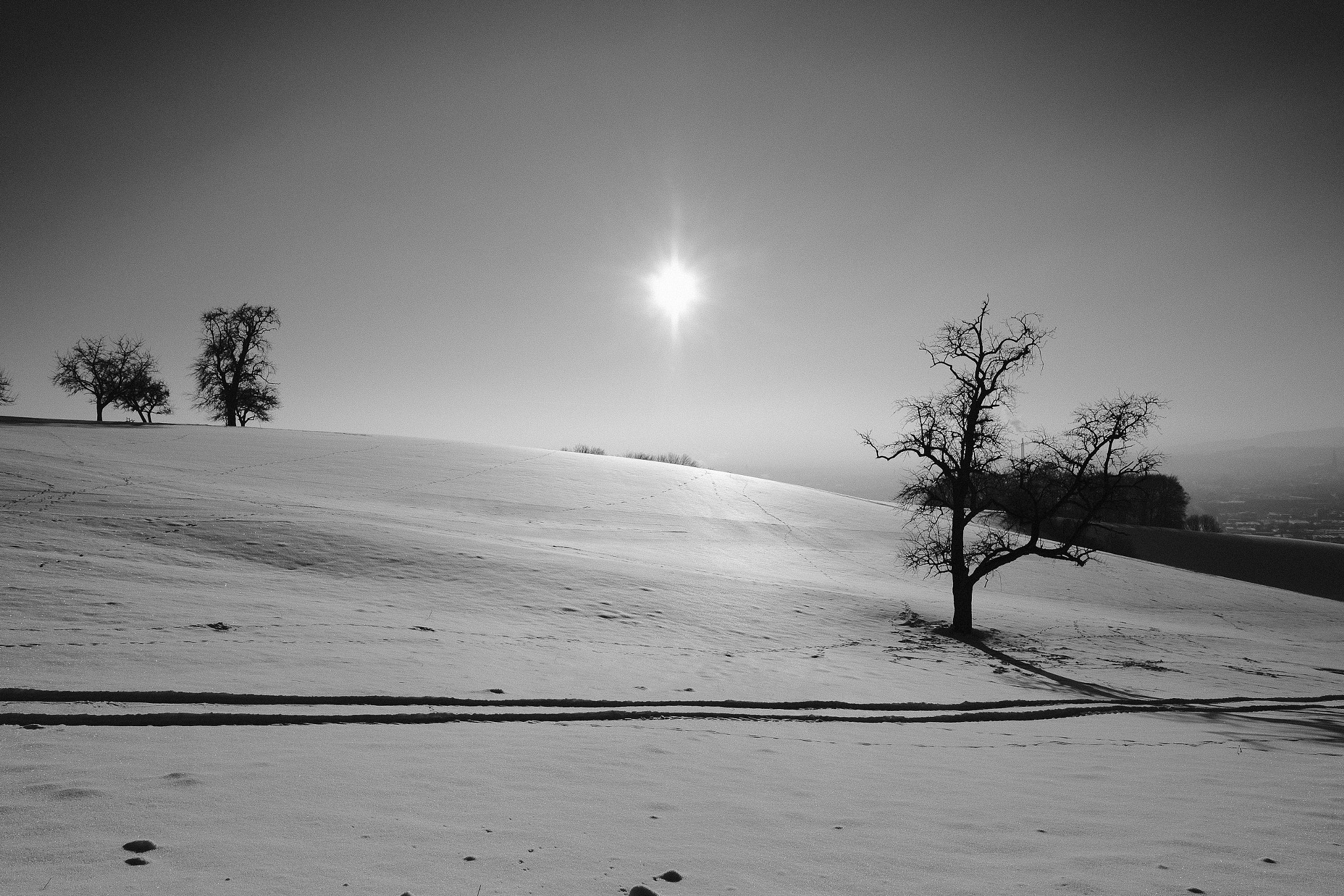 Fujifilm XF 14mm F2.8 R sample photo. Linz hafen photography
