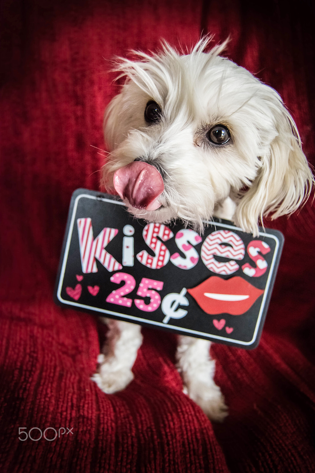Nikon D7200 sample photo. Kisses photography