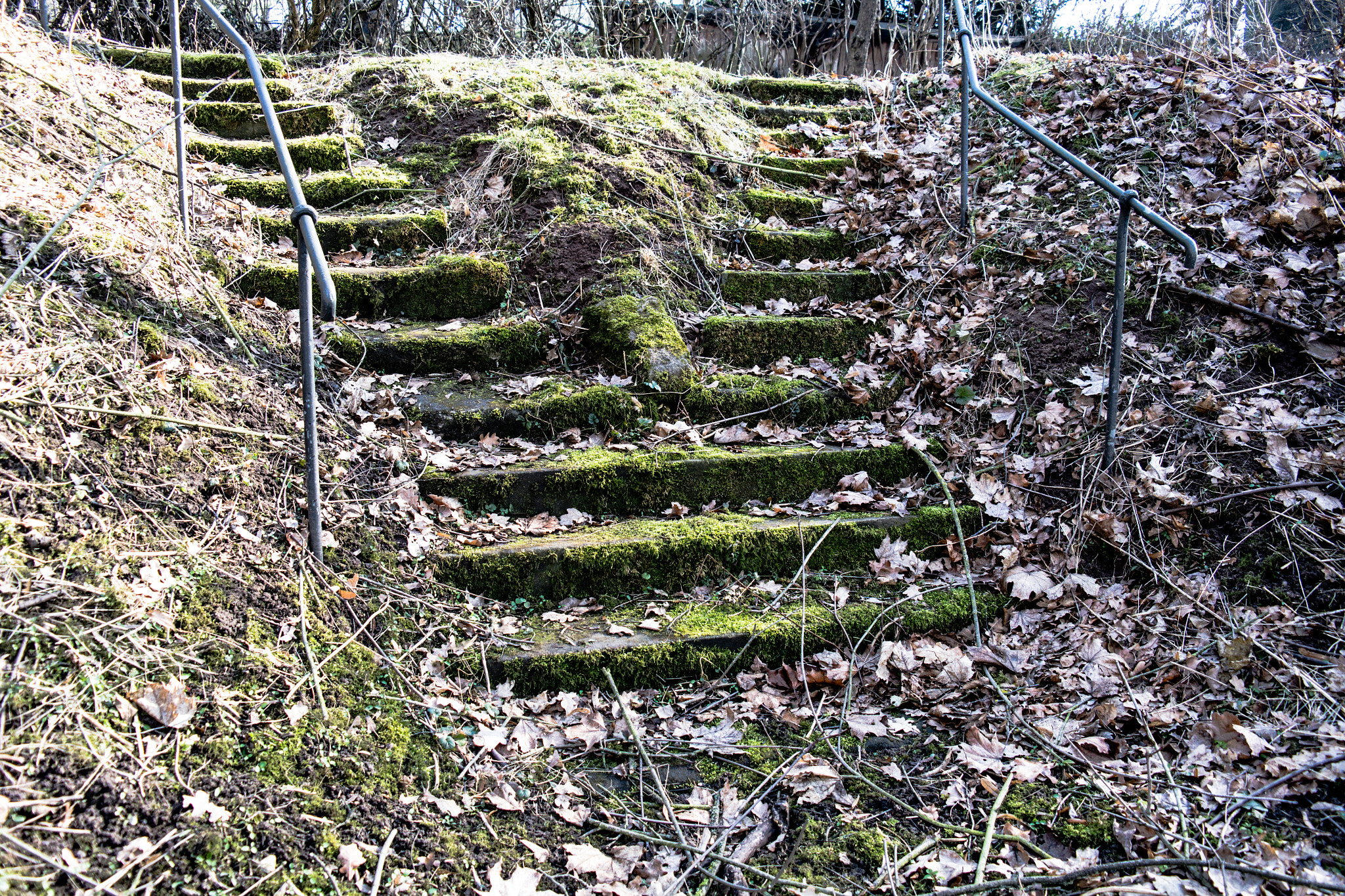 Samsung NX300 + Samsung NX 18-55mm F3.5-5.6 OIS sample photo. Stairways to (of ) photography