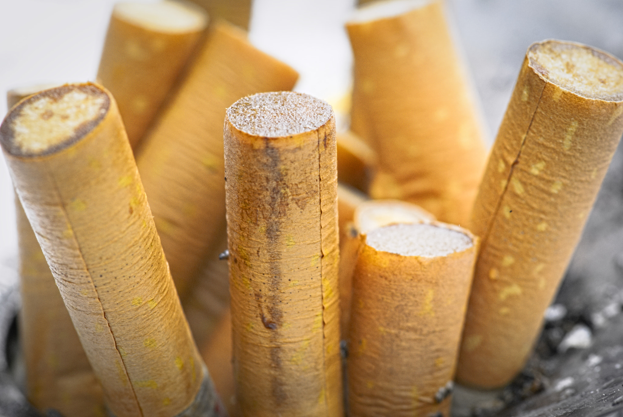 Sony Alpha DSLR-A100 sample photo. Smokes photography