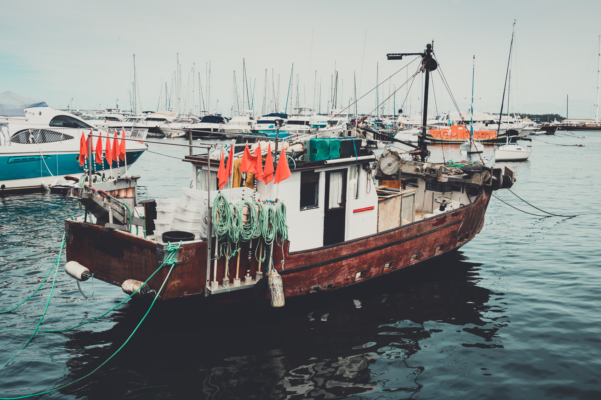 Canon EOS 750D (EOS Rebel T6i / EOS Kiss X8i) sample photo. Fishing machine photography