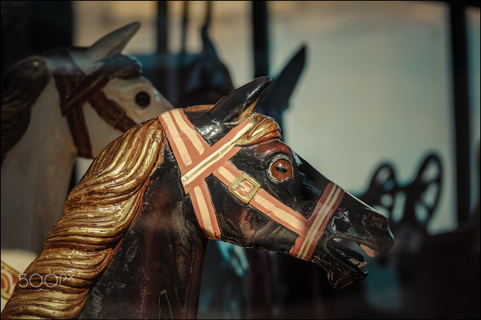 Canon EF 70-200mm F4L IS USM sample photo. Horses photography
