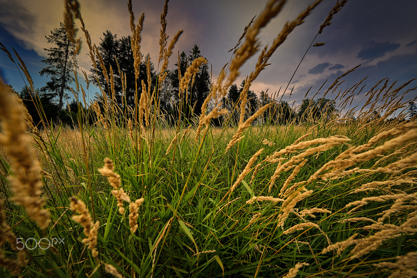 Nikon AF-S Nikkor 14-24mm F2.8G ED sample photo. Sommerabend photography