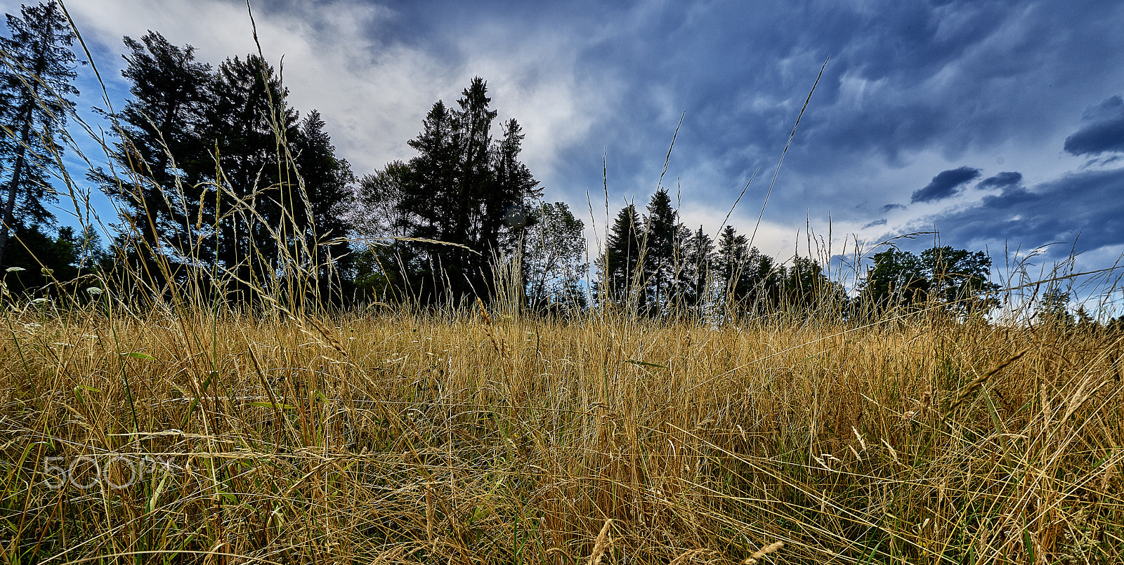 Nikon AF-S Nikkor 14-24mm F2.8G ED sample photo. Sommerabend photography
