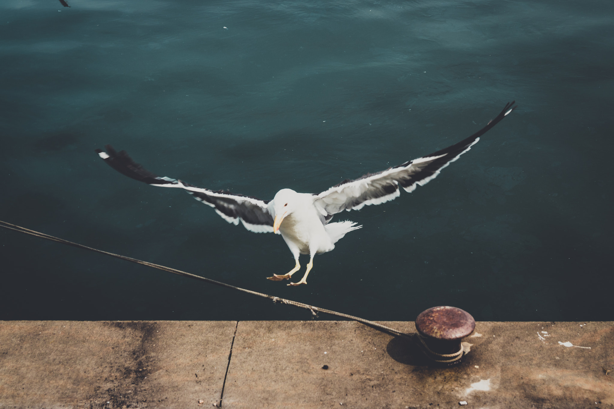 Canon EOS 750D (EOS Rebel T6i / EOS Kiss X8i) sample photo. Docking on harbour photography