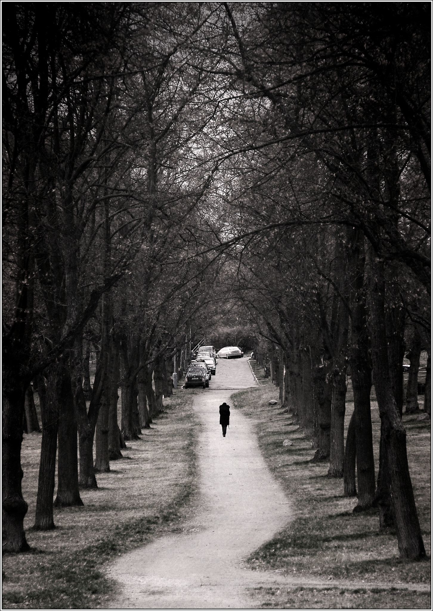 Nikon D60 + Sigma 18-200mm F3.5-6.3 DC OS HSM sample photo. A lonely woman photography