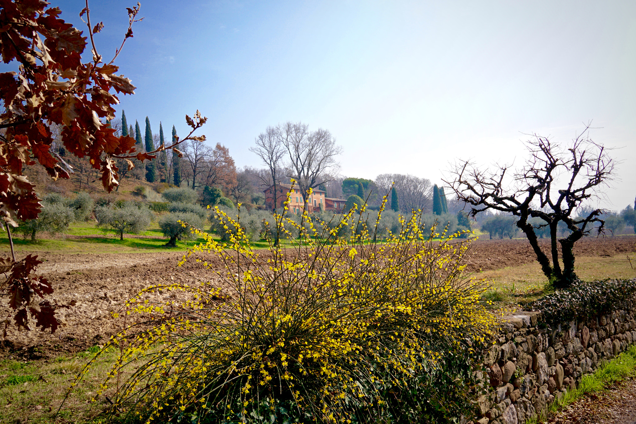 Sony a6300 + Sigma 19mm F2.8 EX DN sample photo. Spring attempts photography