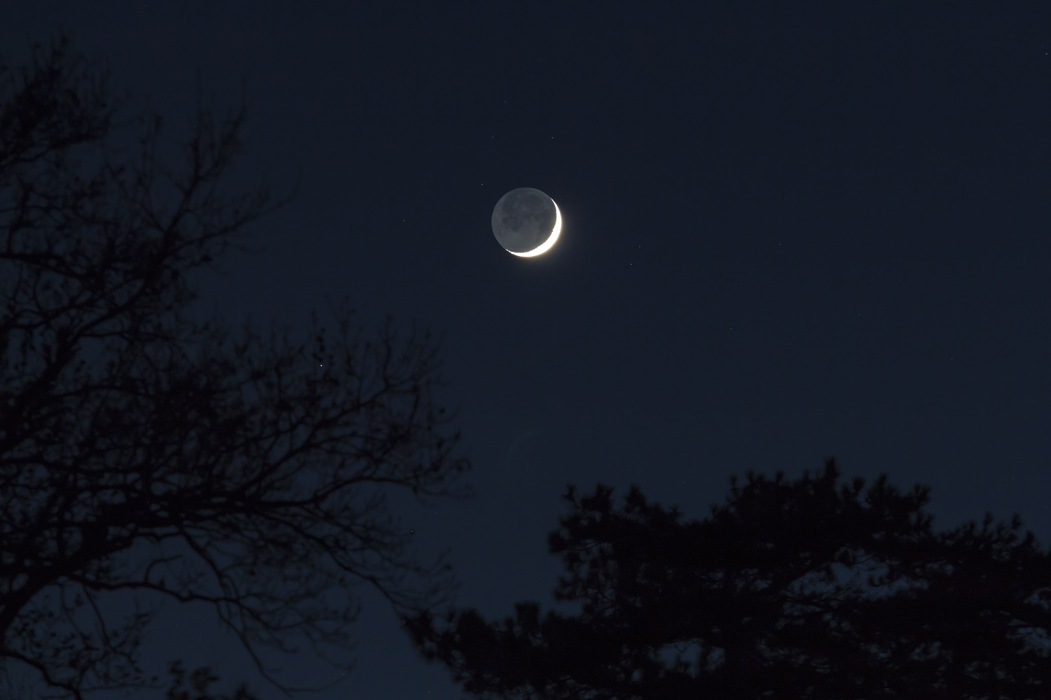 Canon EOS 700D (EOS Rebel T5i / EOS Kiss X7i) + Canon EF 70-200mm F4L IS USM sample photo. Lune cendrée photography