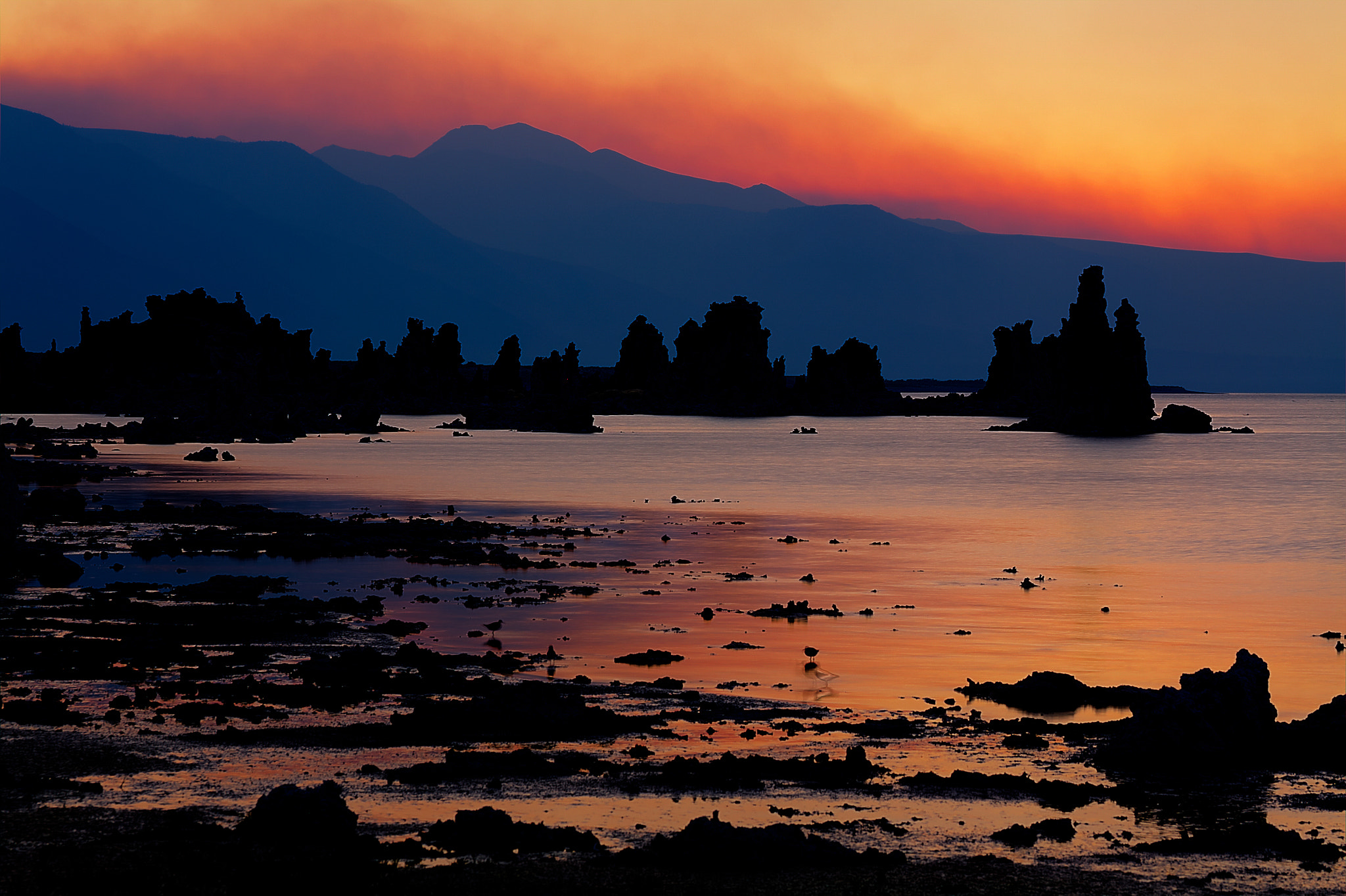Canon EF-S 60mm F2.8 Macro USM sample photo. Sea on fire photography