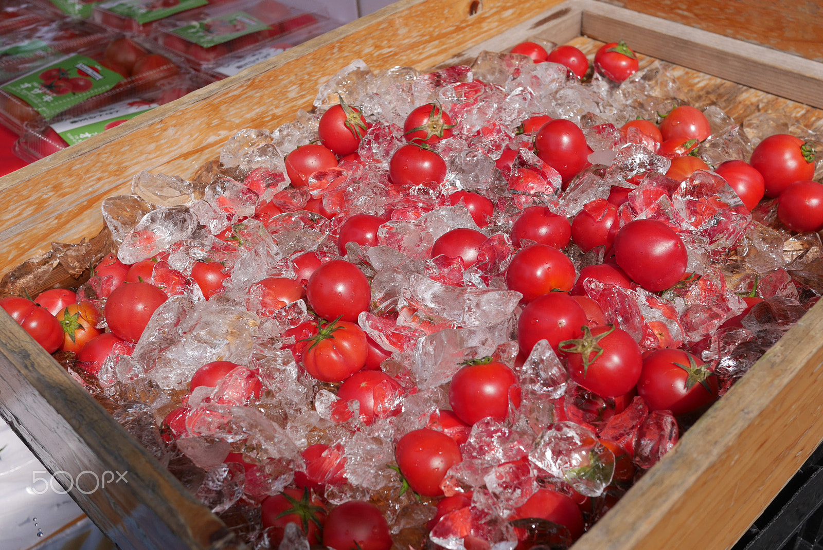 Panasonic Lumix DMC-GX7 + LUMIX G 20/F1.7 II sample photo. Fresh tomatoes waiting to be picked photography