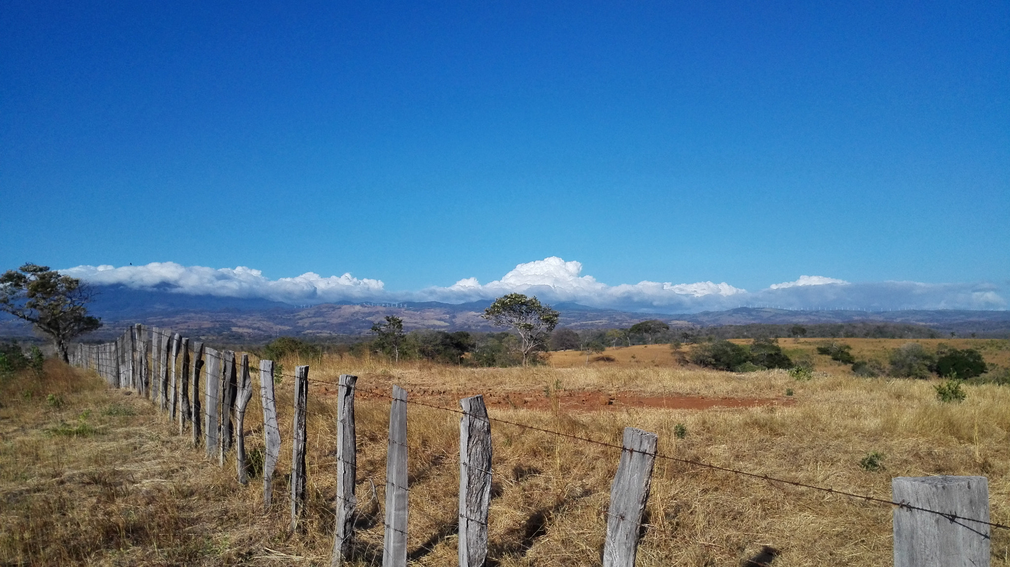 HUAWEI P7-L10 sample photo. Hdr photography