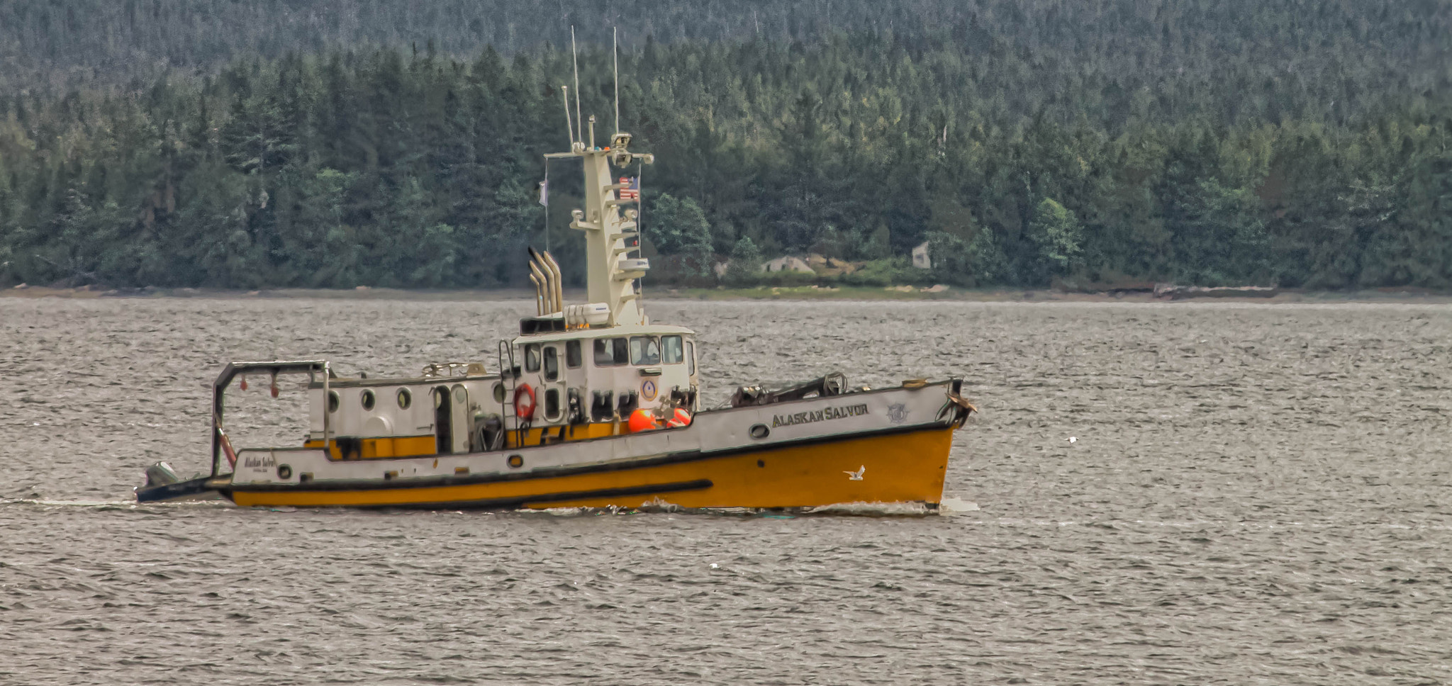 Canon EOS 1100D (EOS Rebel T3 / EOS Kiss X50) sample photo. Alaskan salvor*1 photography
