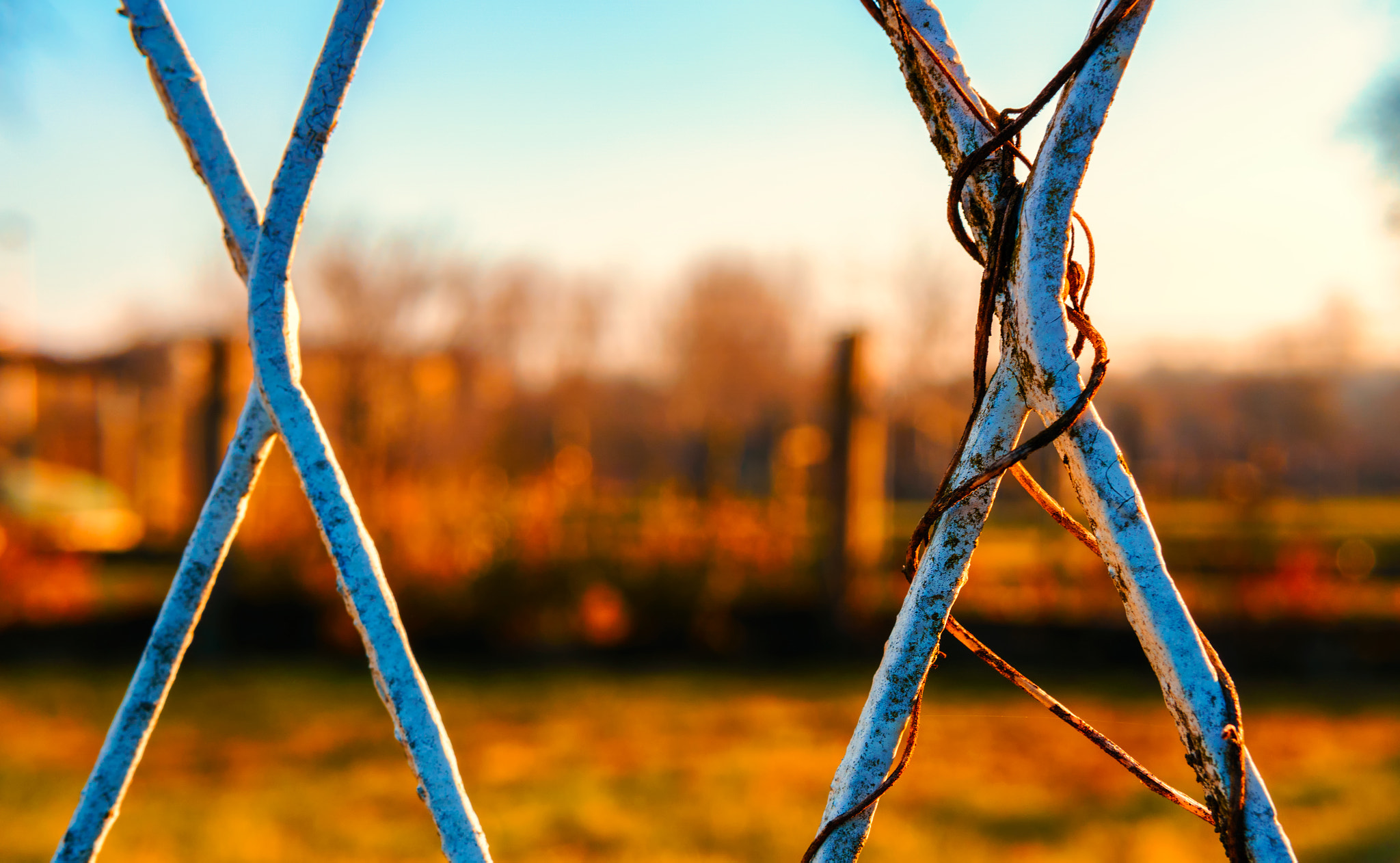 Sony a6000 + Sigma 30mm F1.4 DC DN | C sample photo. X marks the spot photography