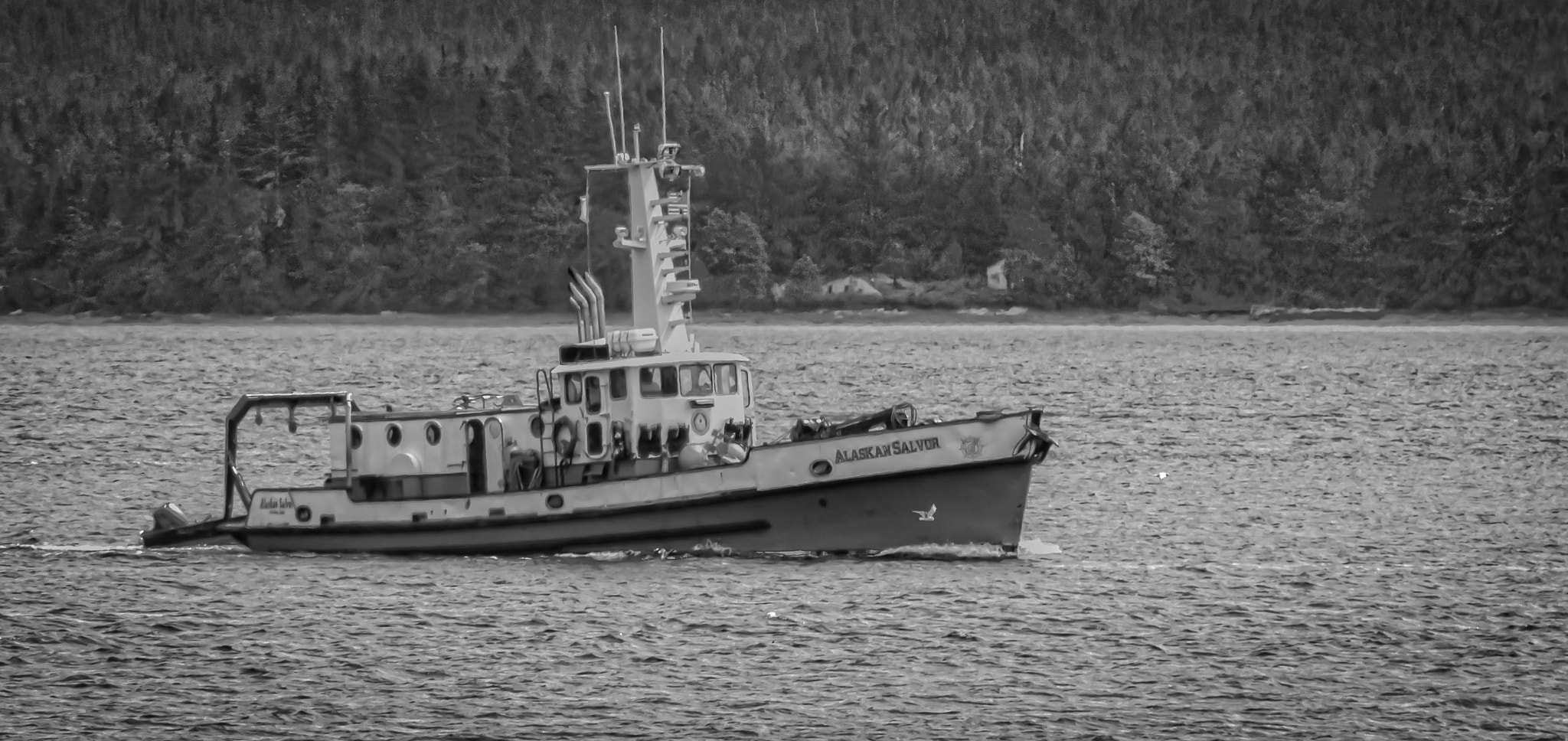 Canon EOS 1100D (EOS Rebel T3 / EOS Kiss X50) sample photo. Alaskan salvor*2 photography