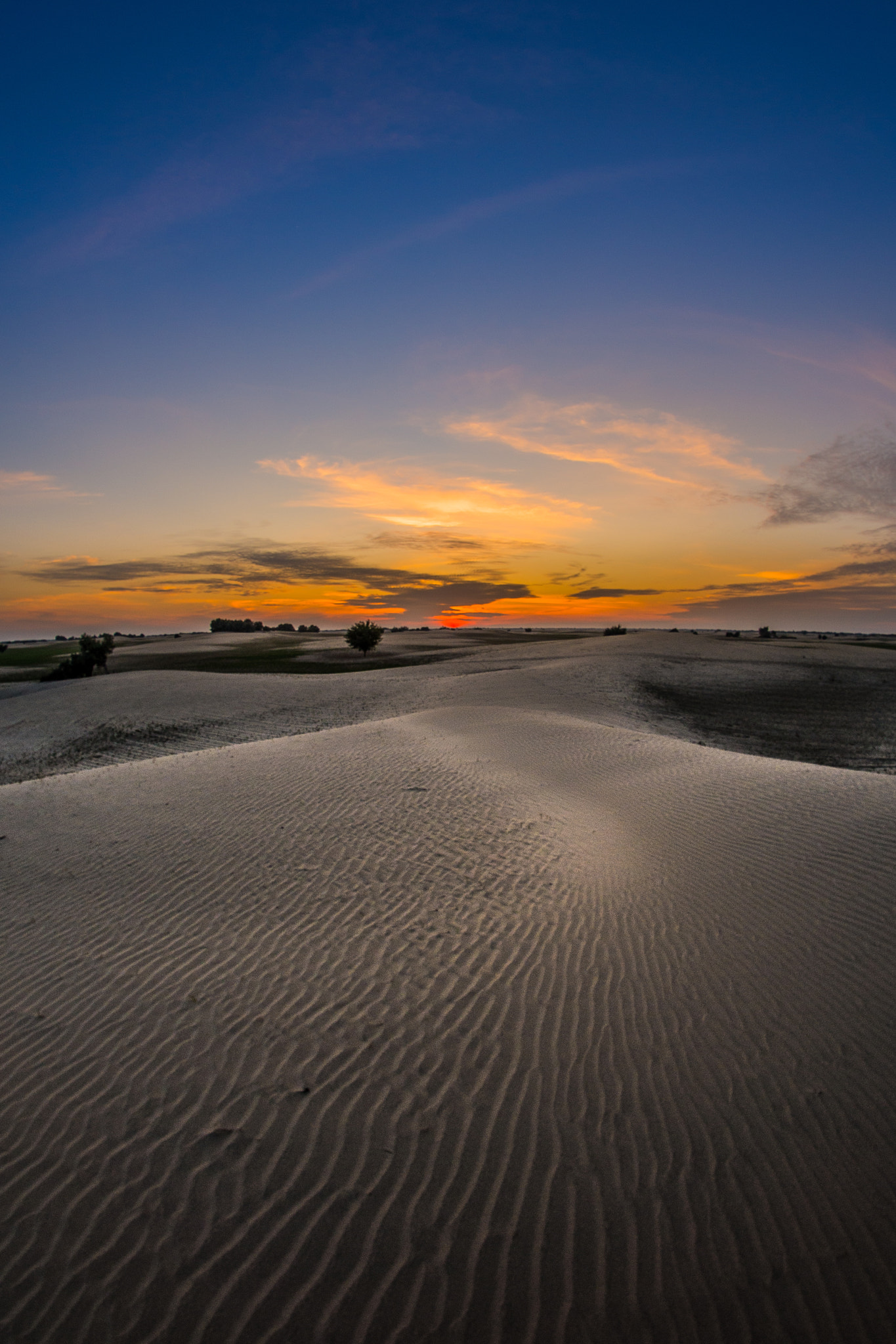 Nikon D610 + Samyang 8mm F3.5 Aspherical IF MC Fisheye sample photo. Thal photography