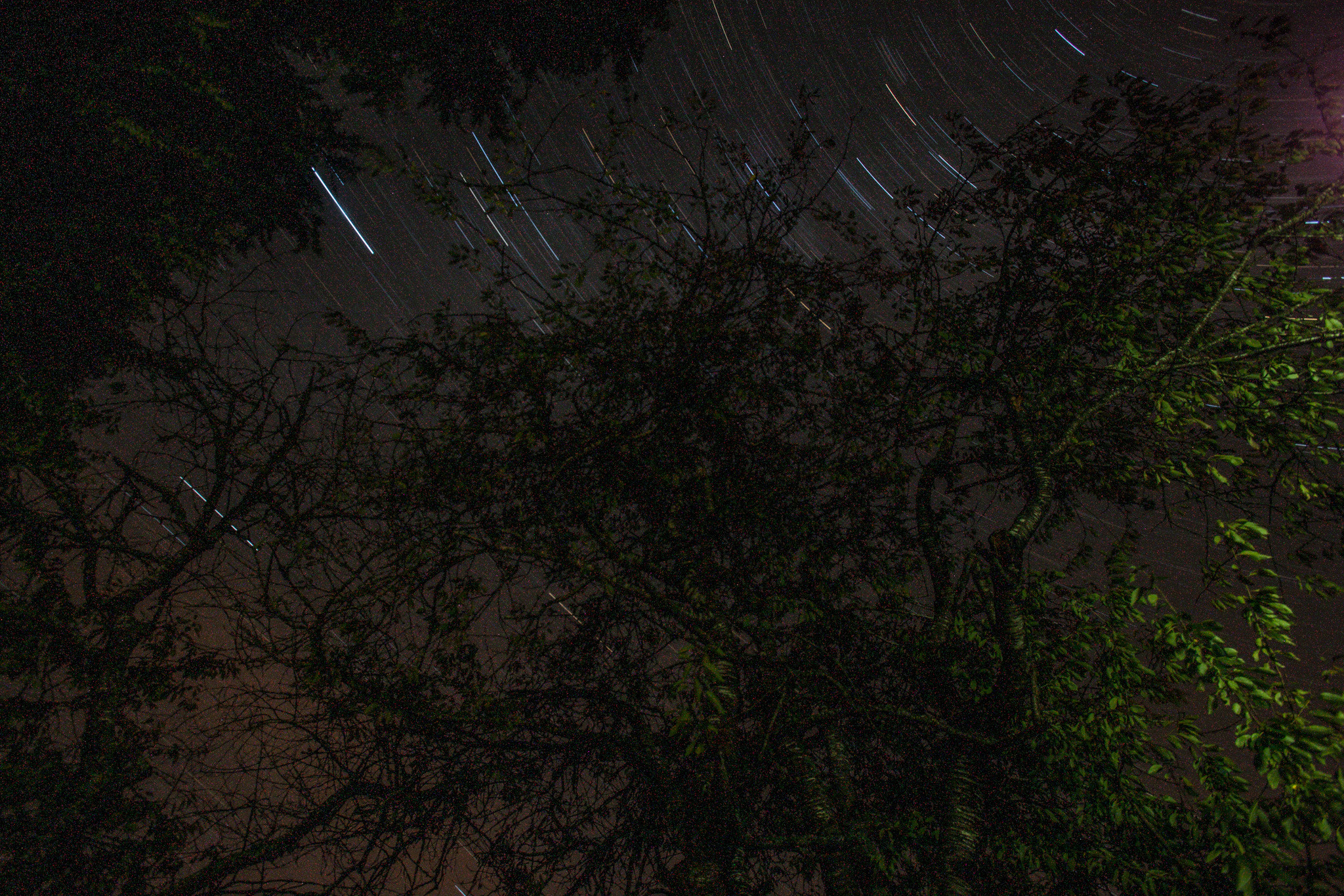 Canon EF 16-35mm F2.8L USM sample photo