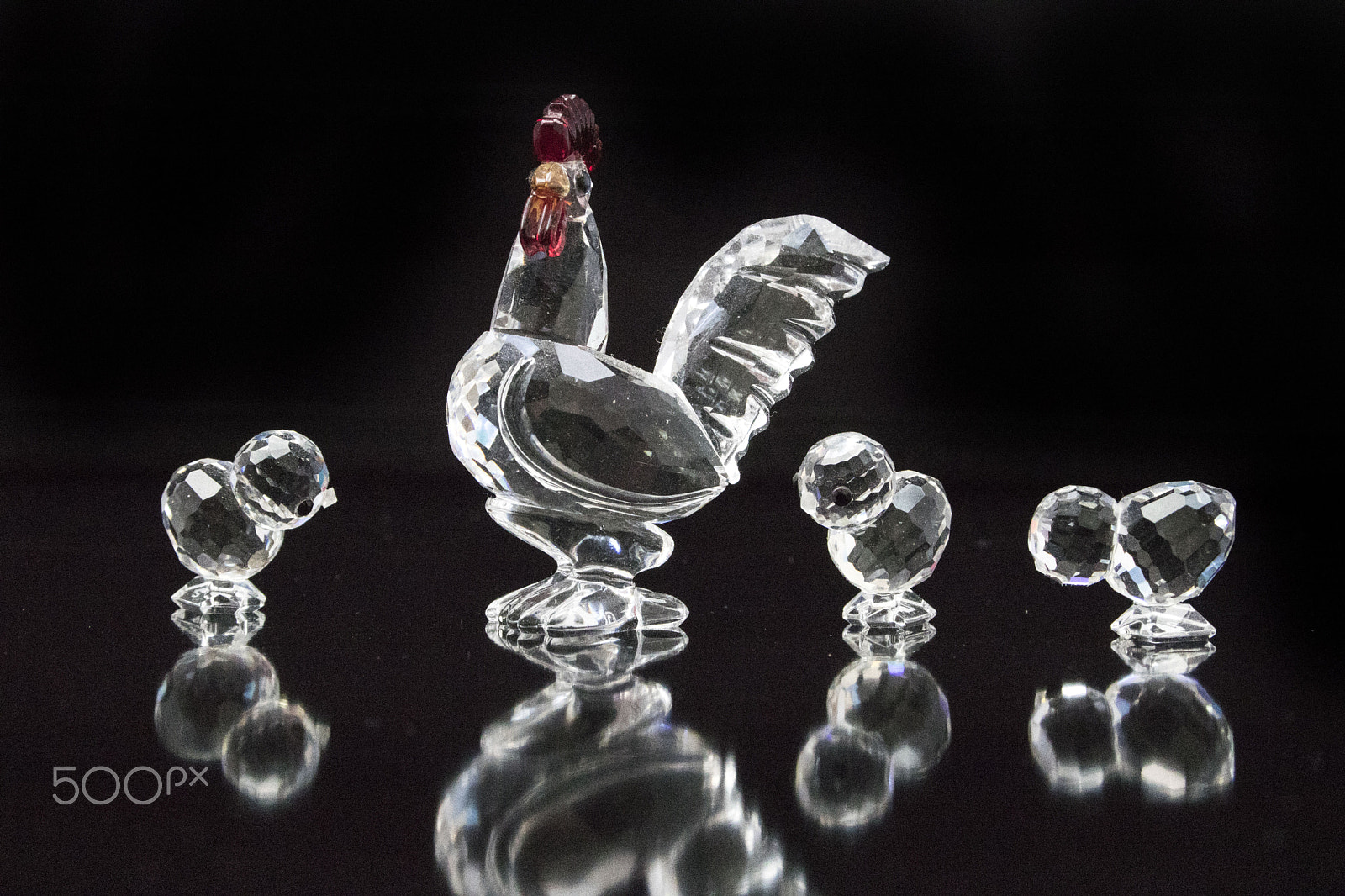 Canon EF-S 18-55mm F3.5-5.6 II sample photo. Rooster photography