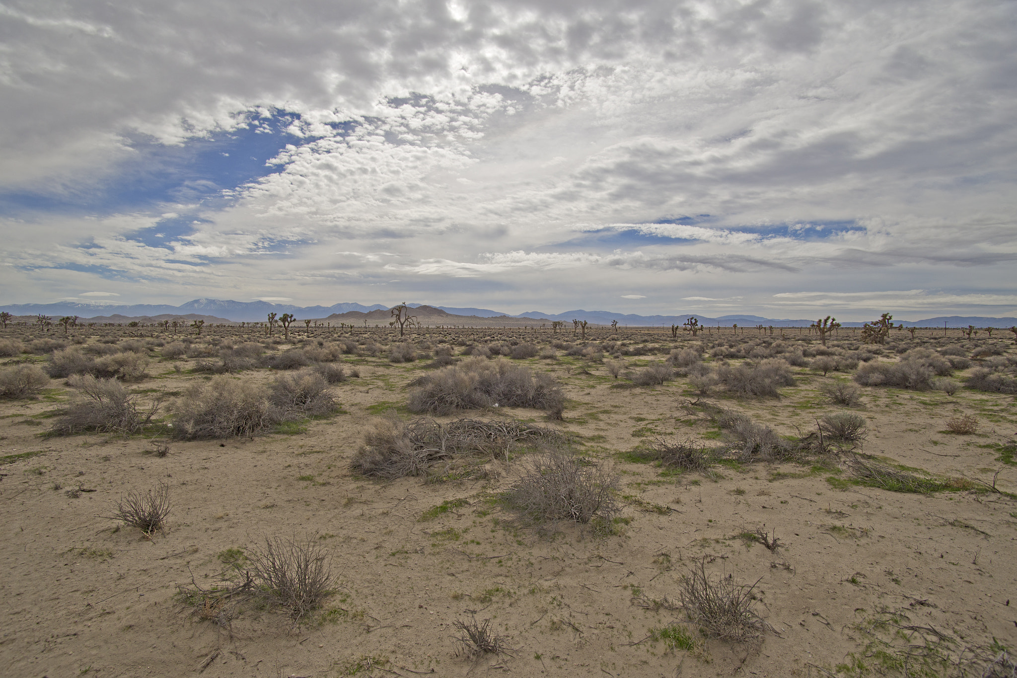 Canon EOS 6D sample photo. High desert, ca photography