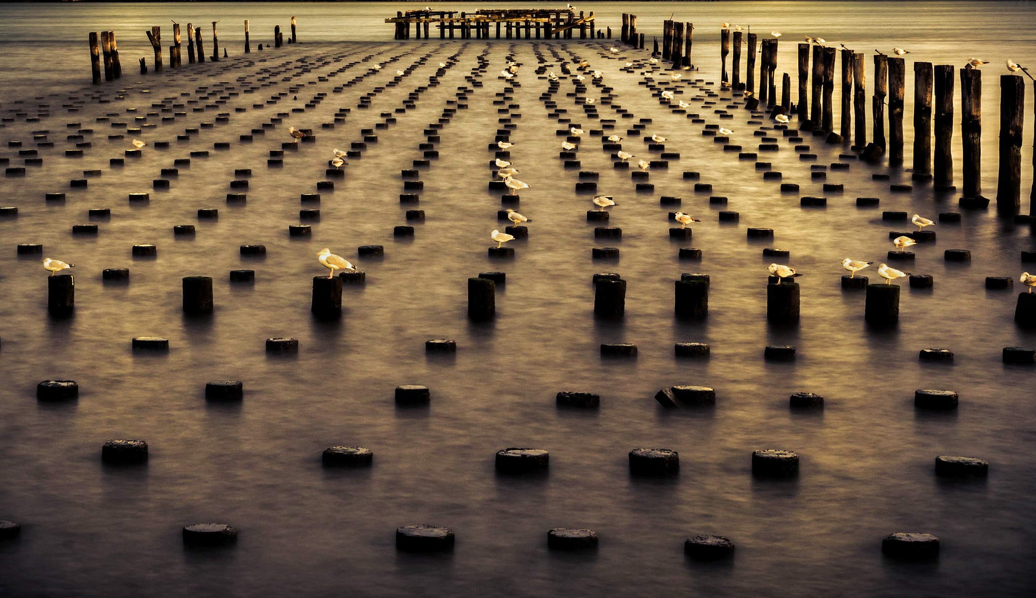Sigma 24-70mm F2.8 EX DG HSM sample photo. Edgewater  photography