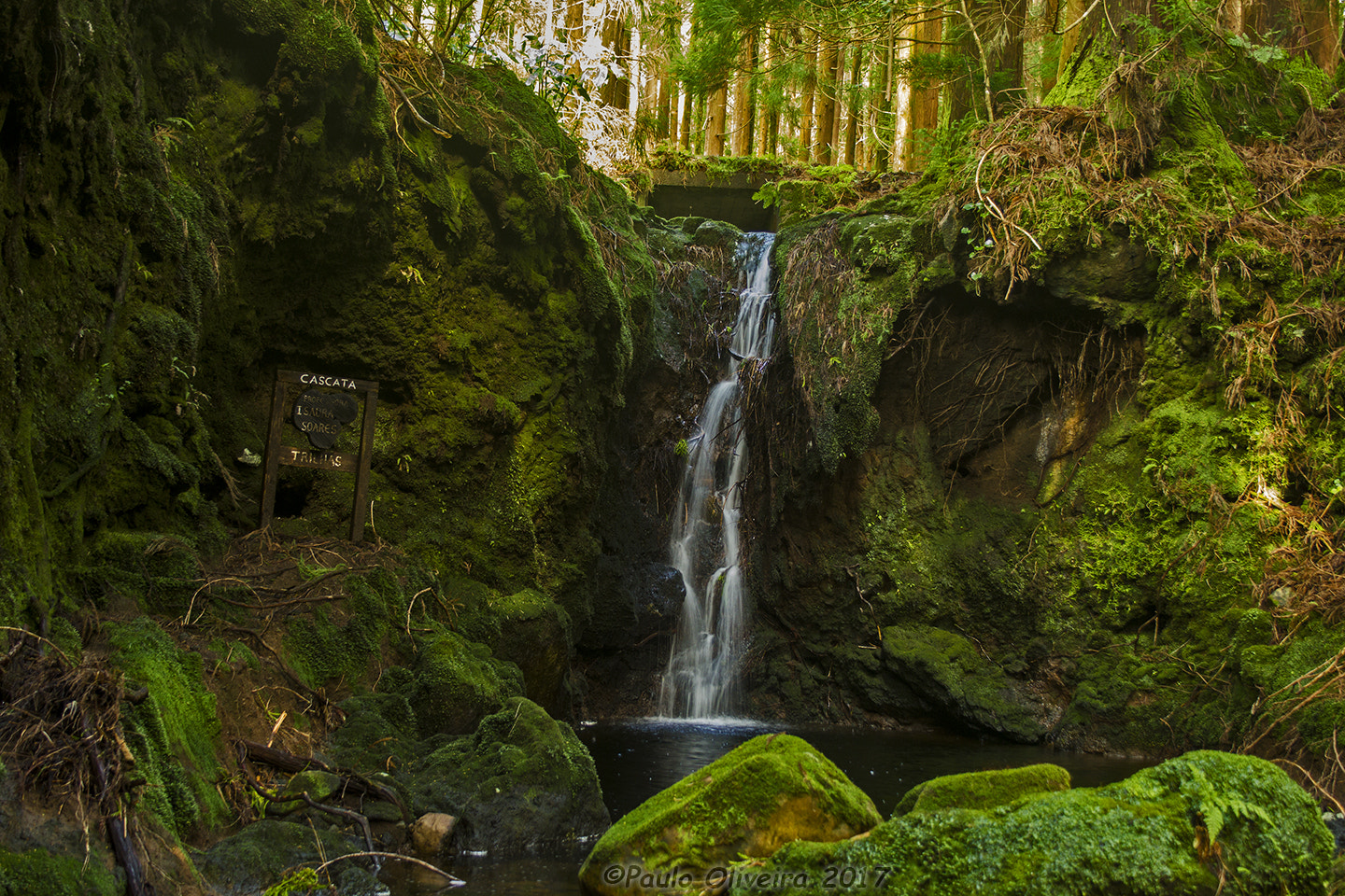 Canon EF-S 18-55mm F3.5-5.6 II sample photo. Cascata prof. isaura soares photography