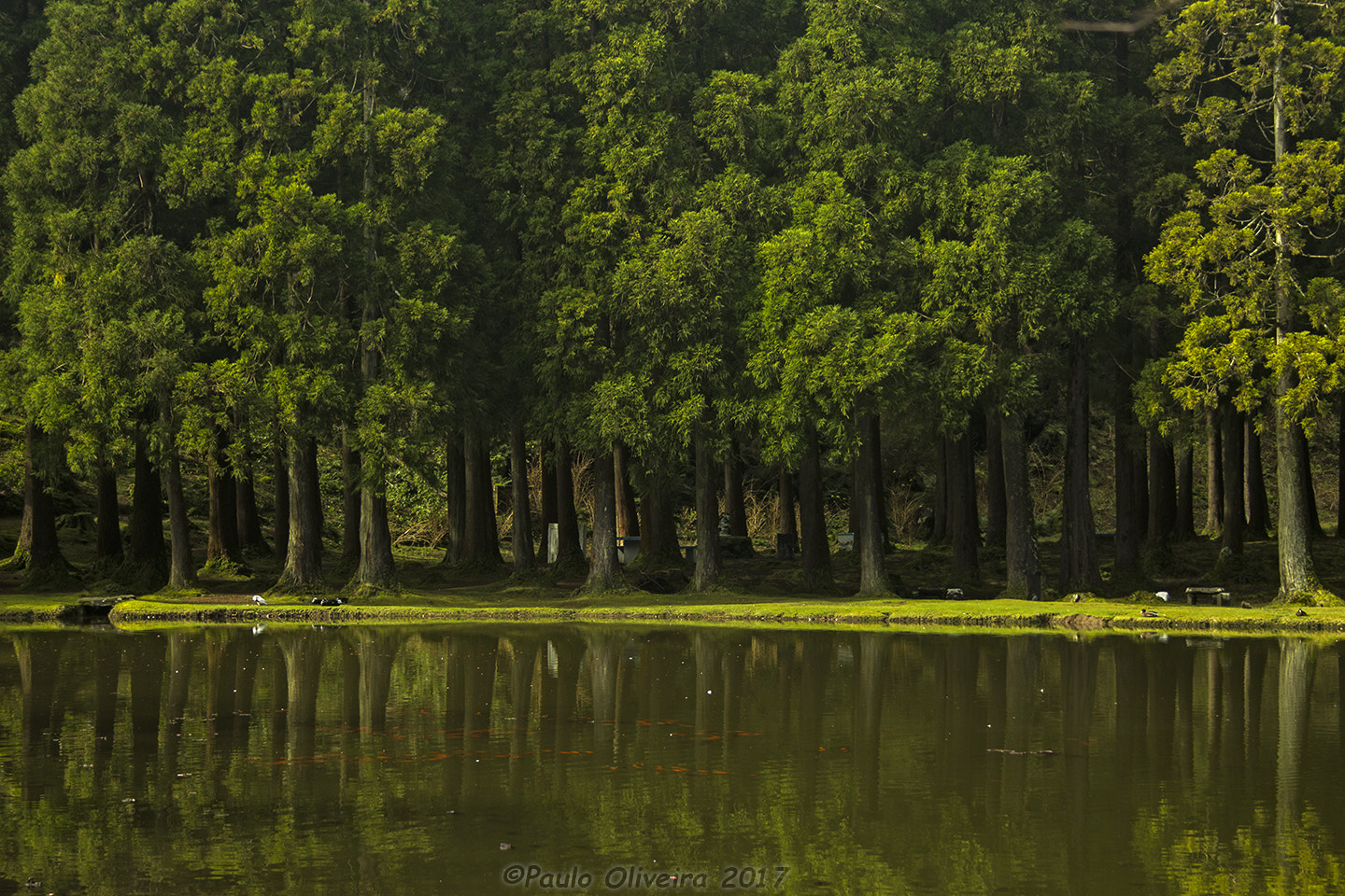 Canon EF-S 18-55mm F3.5-5.6 II sample photo. Lagoa das patas e dos peixes photography