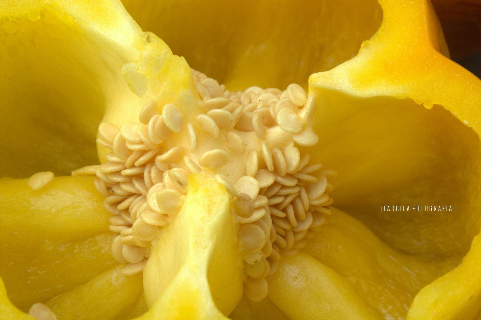 Canon EF 100mm F2.8 Macro USM sample photo. Yellow pepper photography