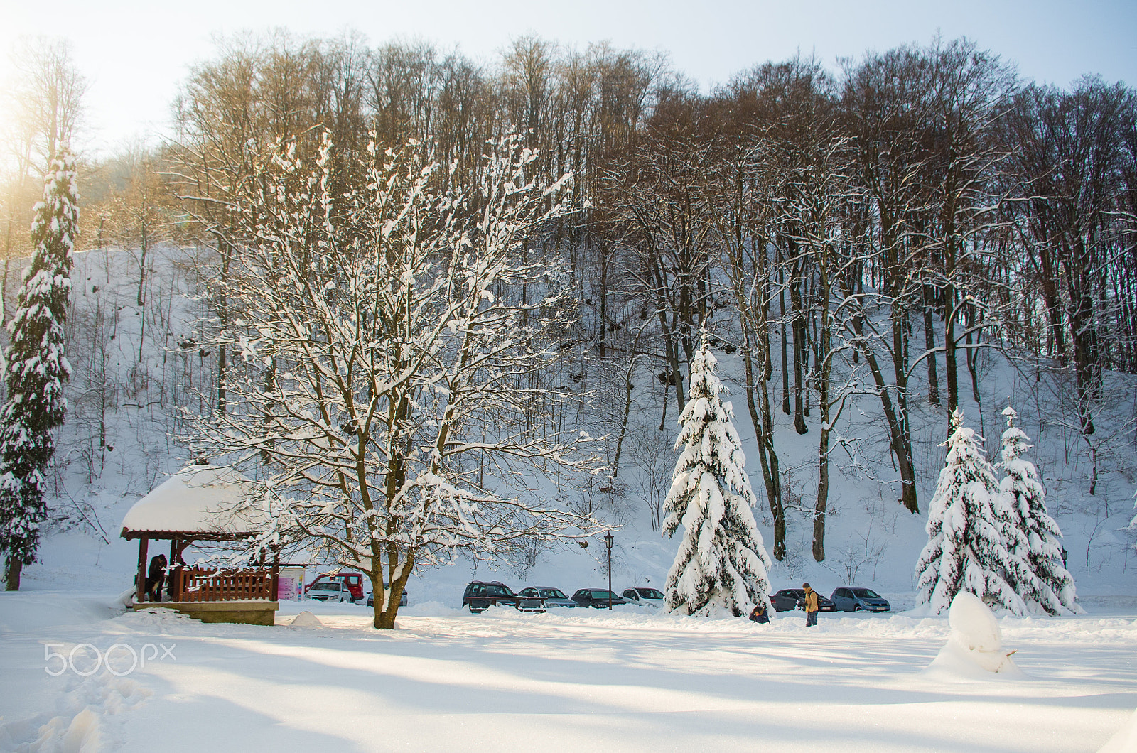 Pentax K-x sample photo. Winter atmosphere photography