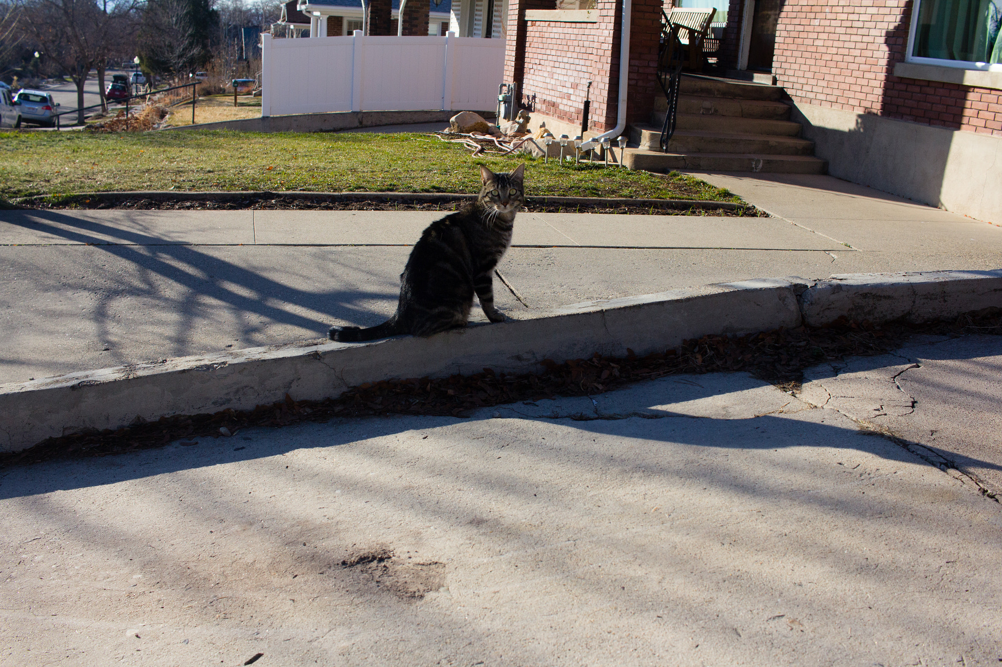 Canon EF-S 24mm F2.8 STM sample photo