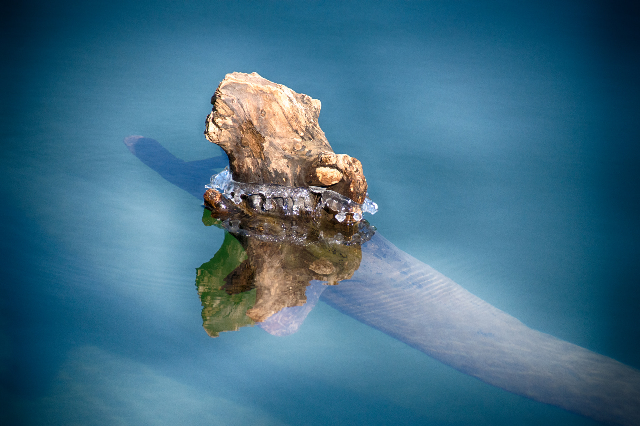 Sigma 18-250mm F3.5-6.3 DC Macro OS HSM sample photo. Driftwood slightly below freezing photography