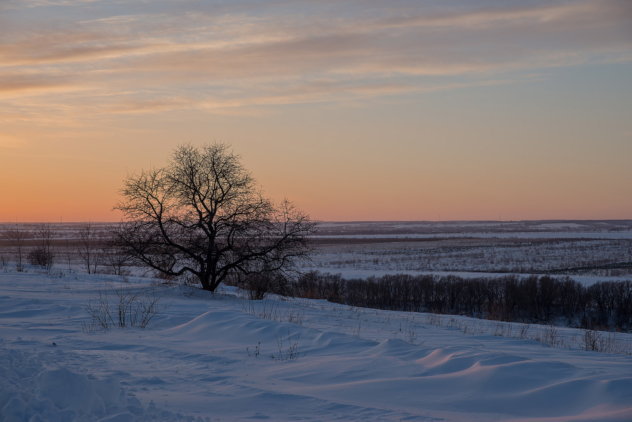 Sony a99 II sample photo. Dsc photography