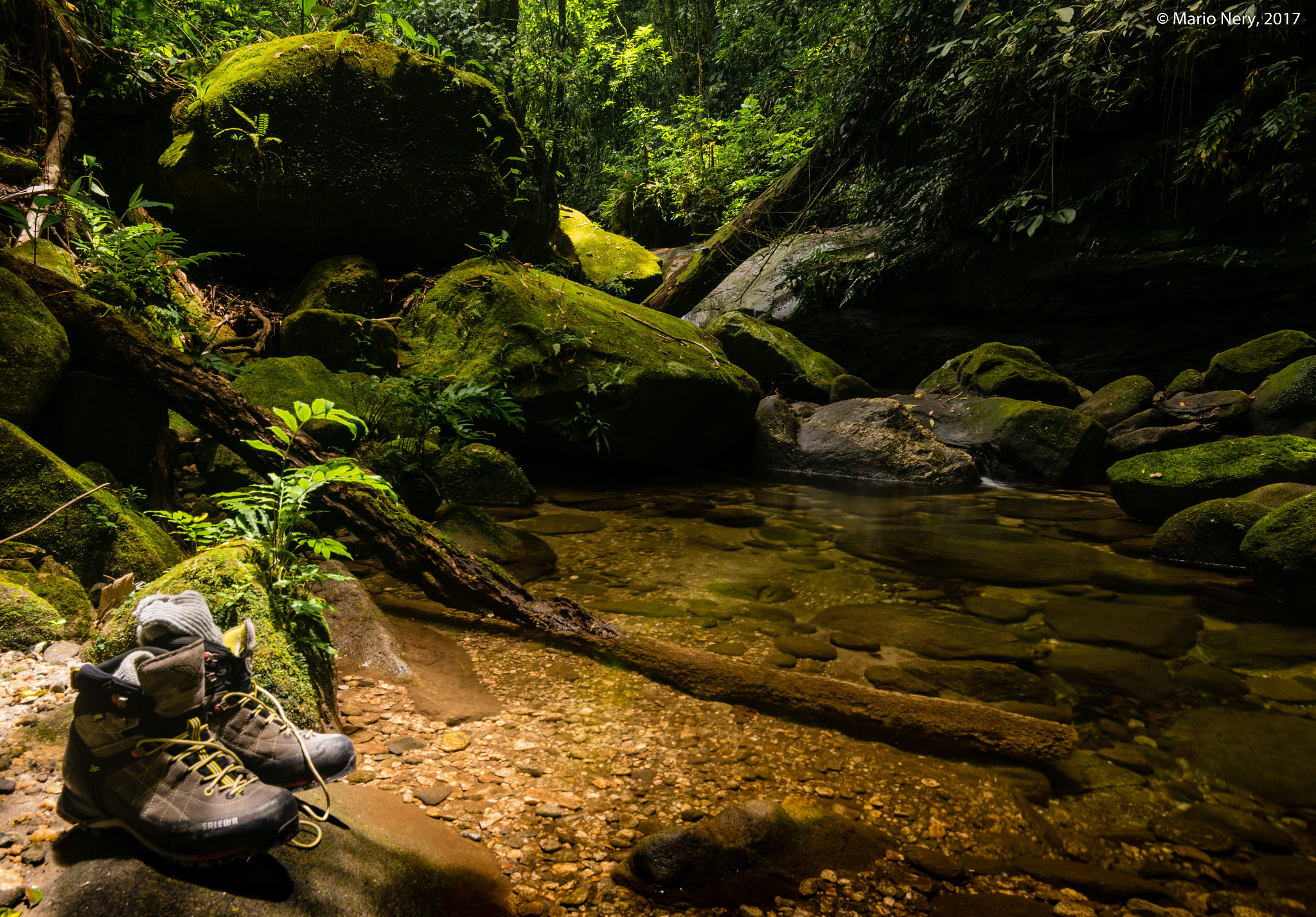 Nikon D5300 + Tokina AT-X Pro 11-16mm F2.8 DX II sample photo. Nature and peace photography