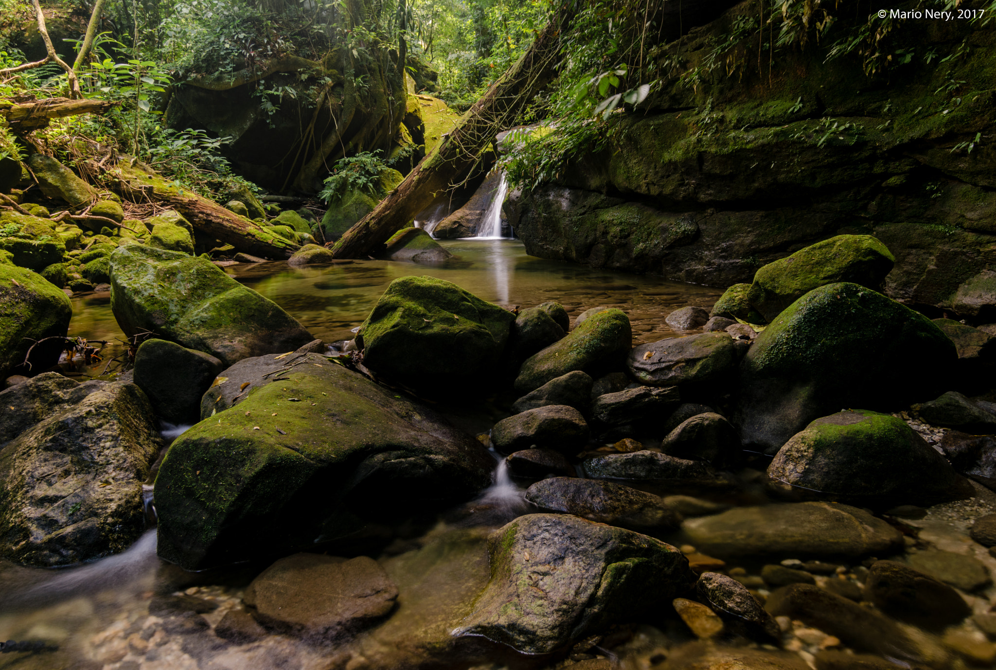 Nikon D5300 + Tokina AT-X Pro 11-16mm F2.8 DX II sample photo. Nature and peace photography