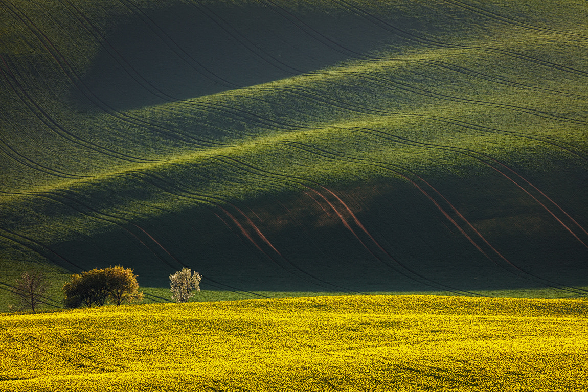 Canon EOS 5DS R sample photo. Spring in south moravia photography
