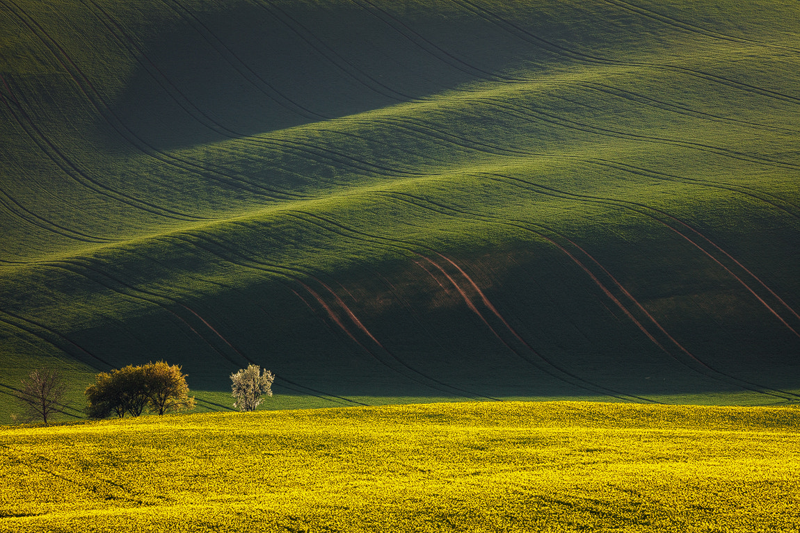Canon EF 70-300mm F4-5.6L IS USM sample photo. Spring in south moravia photography