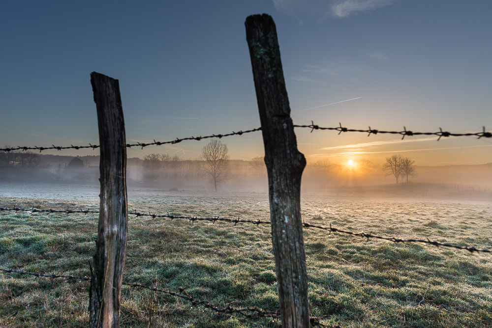 Nikon D610 + Nikon AF-S Nikkor 20mm F1.8G ED sample photo. Matin de février photography