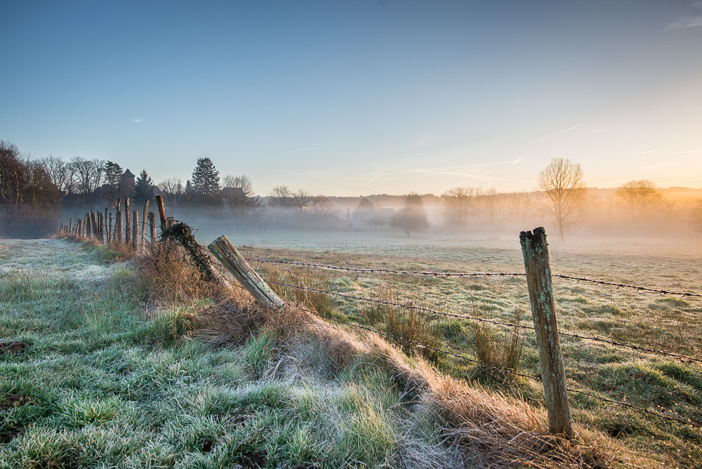 Nikon D610 + Nikon AF-S Nikkor 20mm F1.8G ED sample photo. Matin de février photography
