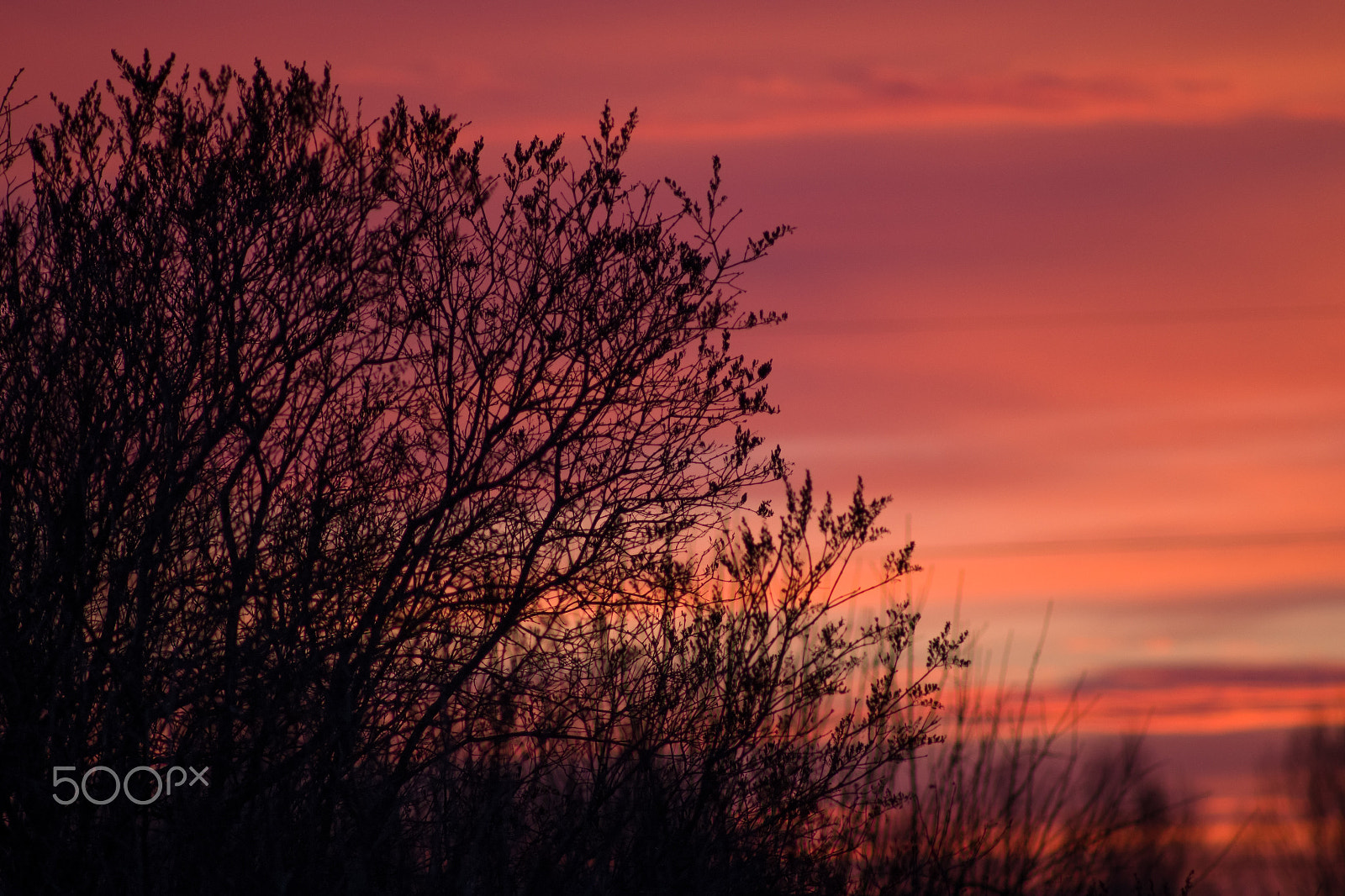 Pentax K-1 sample photo. Sunset glow photography