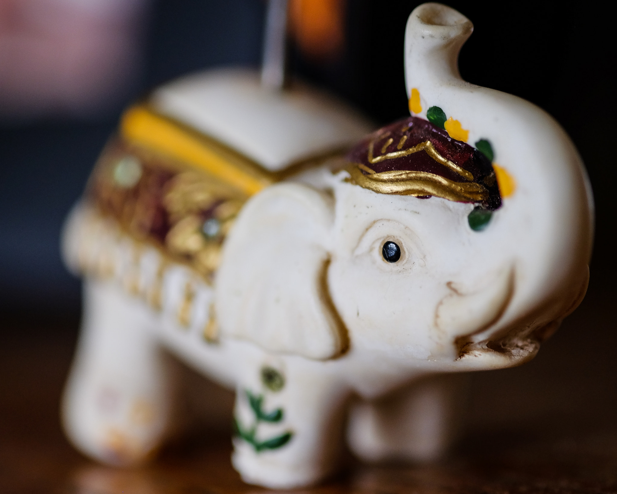 Fujifilm X-E2 + Fujifilm XF 60mm F2.4 R Macro sample photo. Elephant in focus photography