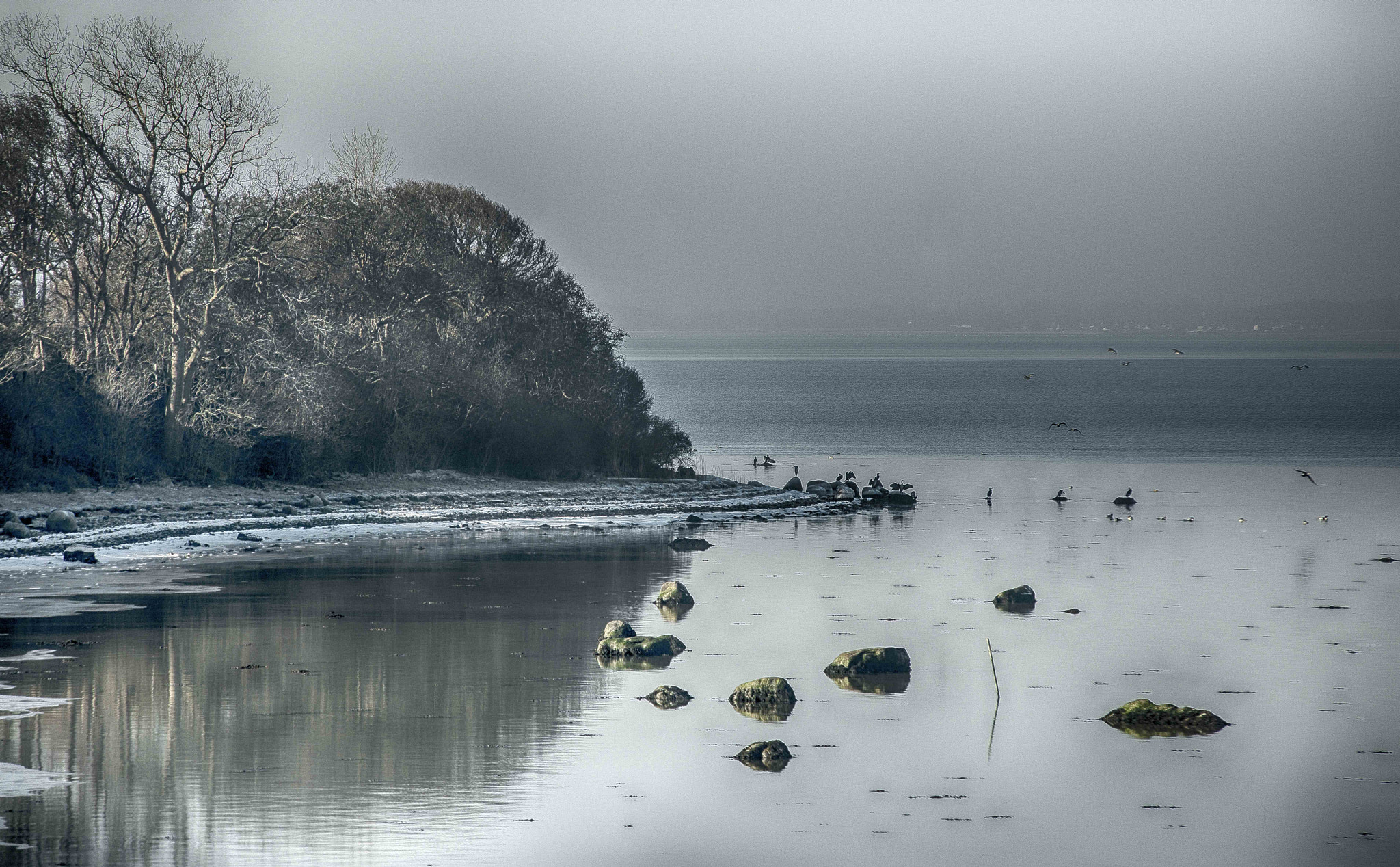 Nikon D800 + Sigma 70-200mm F2.8 EX DG Macro HSM II sample photo. By the sea photography