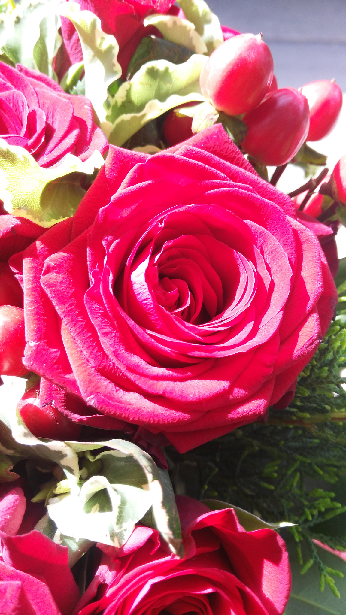 HUAWEI G7-L01 sample photo. Red light rose photography