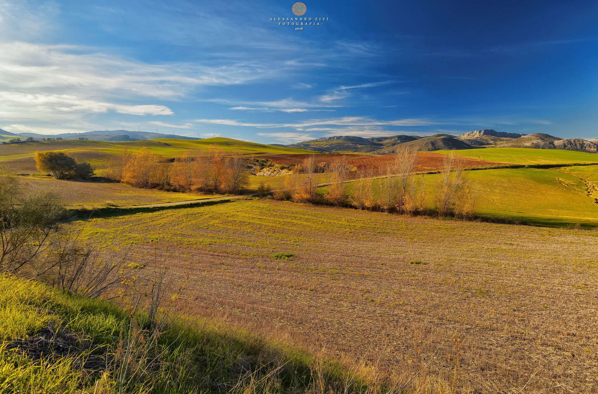 Olympus OM-D E-M5 II + OLYMPUS M.9-18mm F4.0-5.6 sample photo. Andalusian countryside. photography