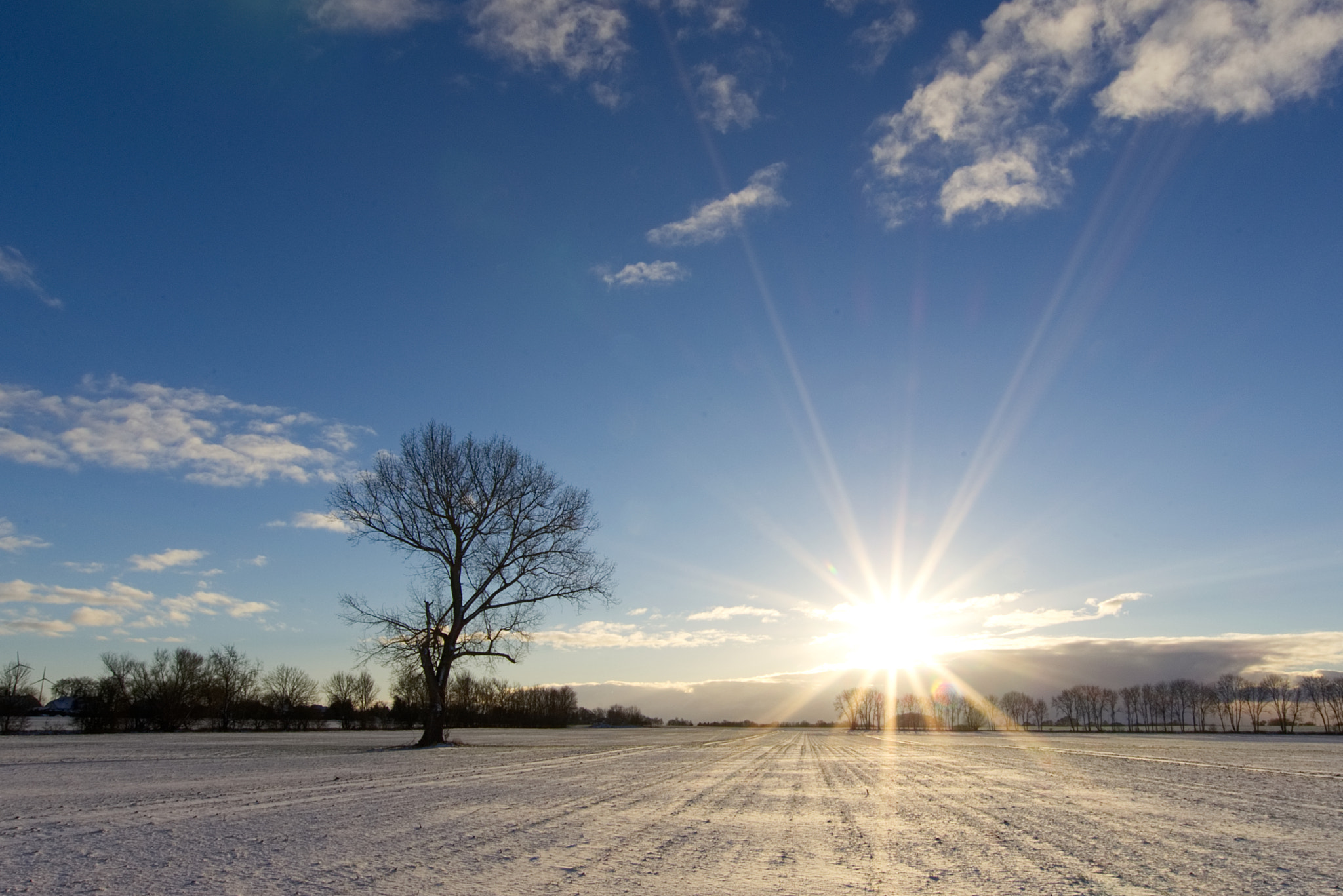 Nikon D5100 + Sigma 10-20mm F3.5 EX DC HSM sample photo. Dsc 2197 winter in brandenburg  photography