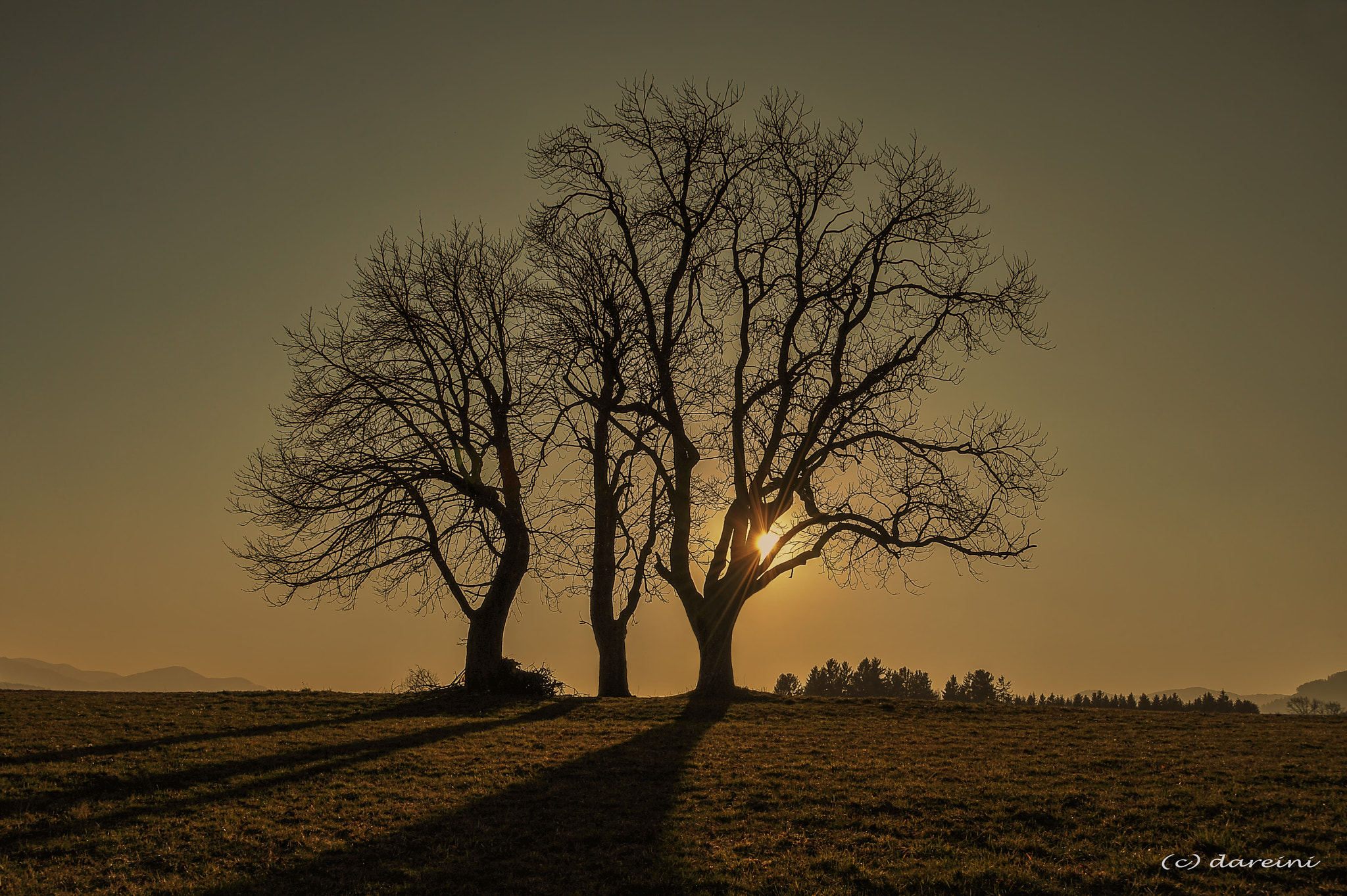Nikon D3 sample photo. Ort der harmonie photography