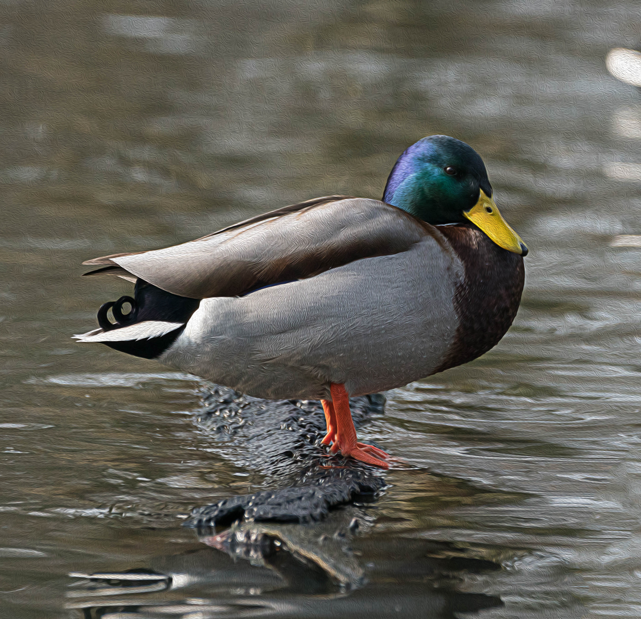 150-600mm F5-6.3 DG OS HSM | Contemporary 015 sample photo. Ente 3 photography