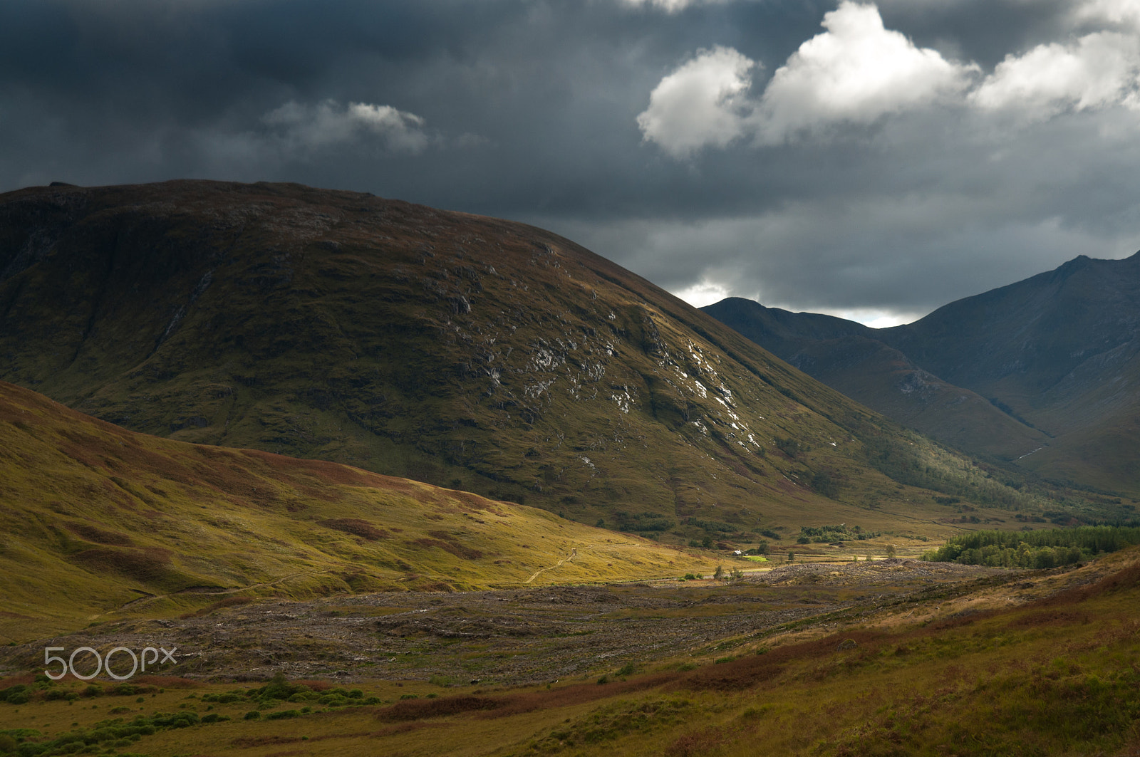 Nikon D5000 + Nikon AF-S DX Nikkor 16-85mm F3.5-5.6G ED VR sample photo. Light through the glen photography