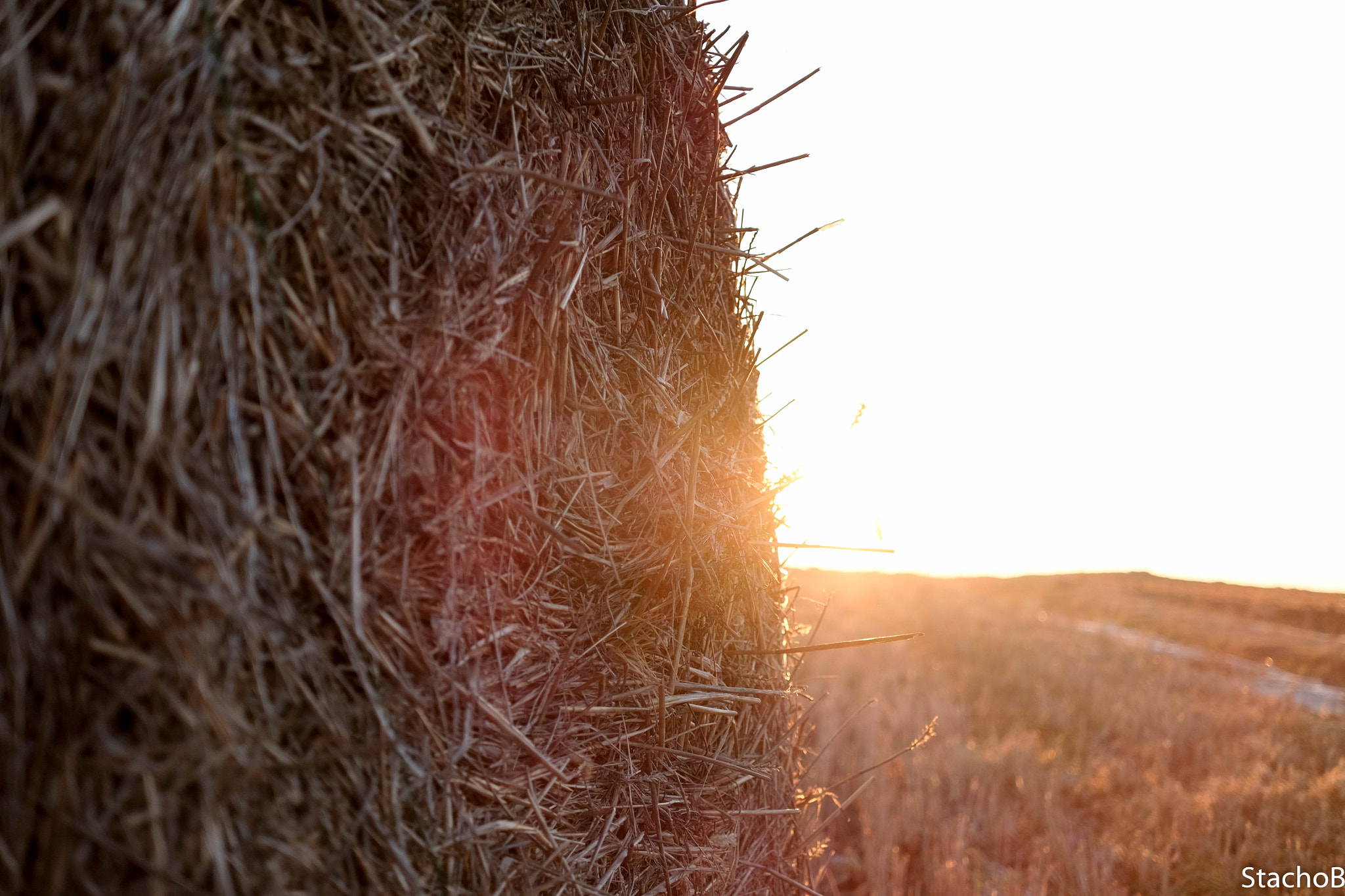 Fujifilm X-T10 + Fujifilm XF 27mm F2.8 sample photo. Sunset at field photography