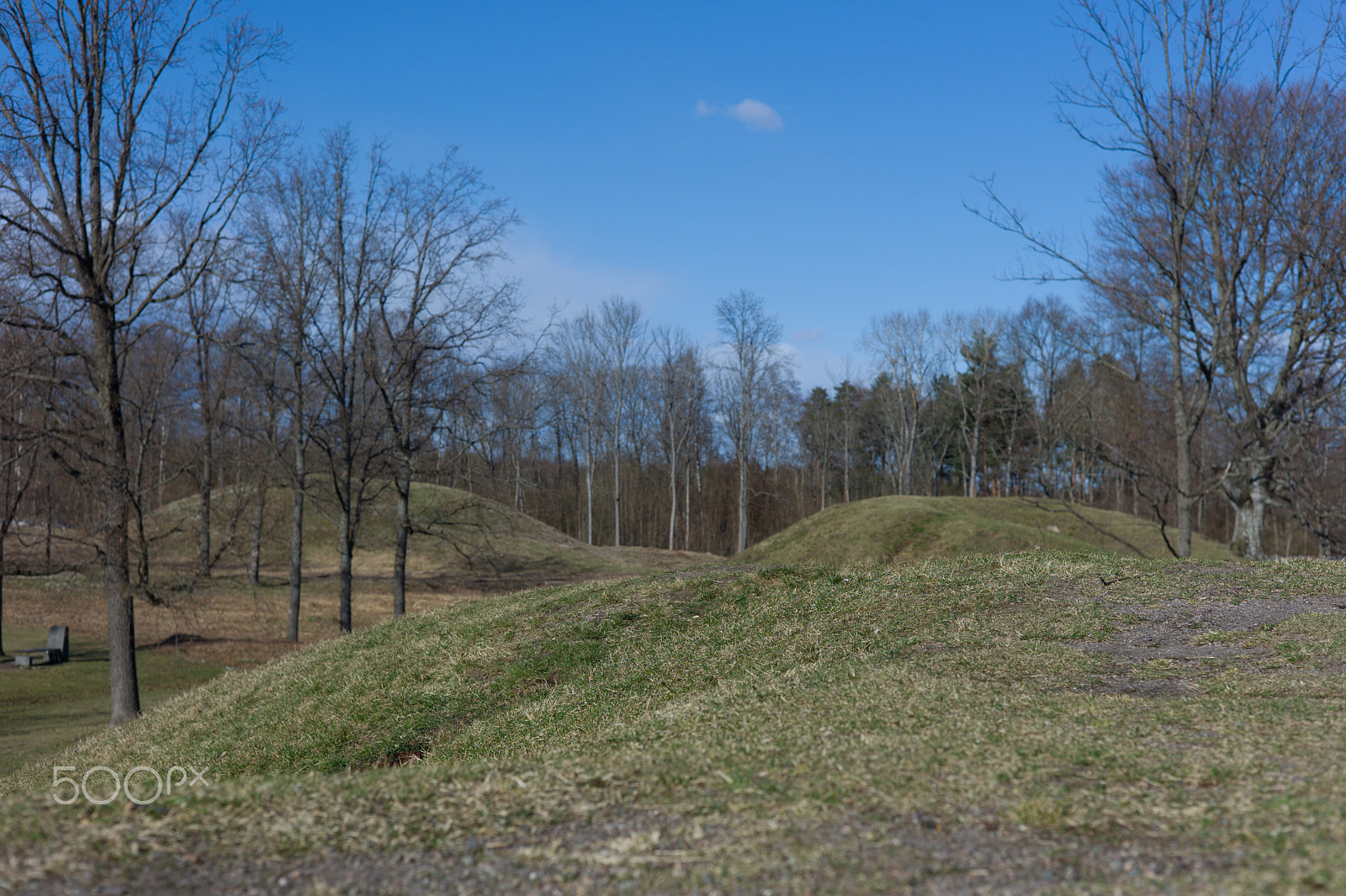 Leica M9 + Summicron-M 50mm f/2 (III) sample photo. Viking graves at borre photography