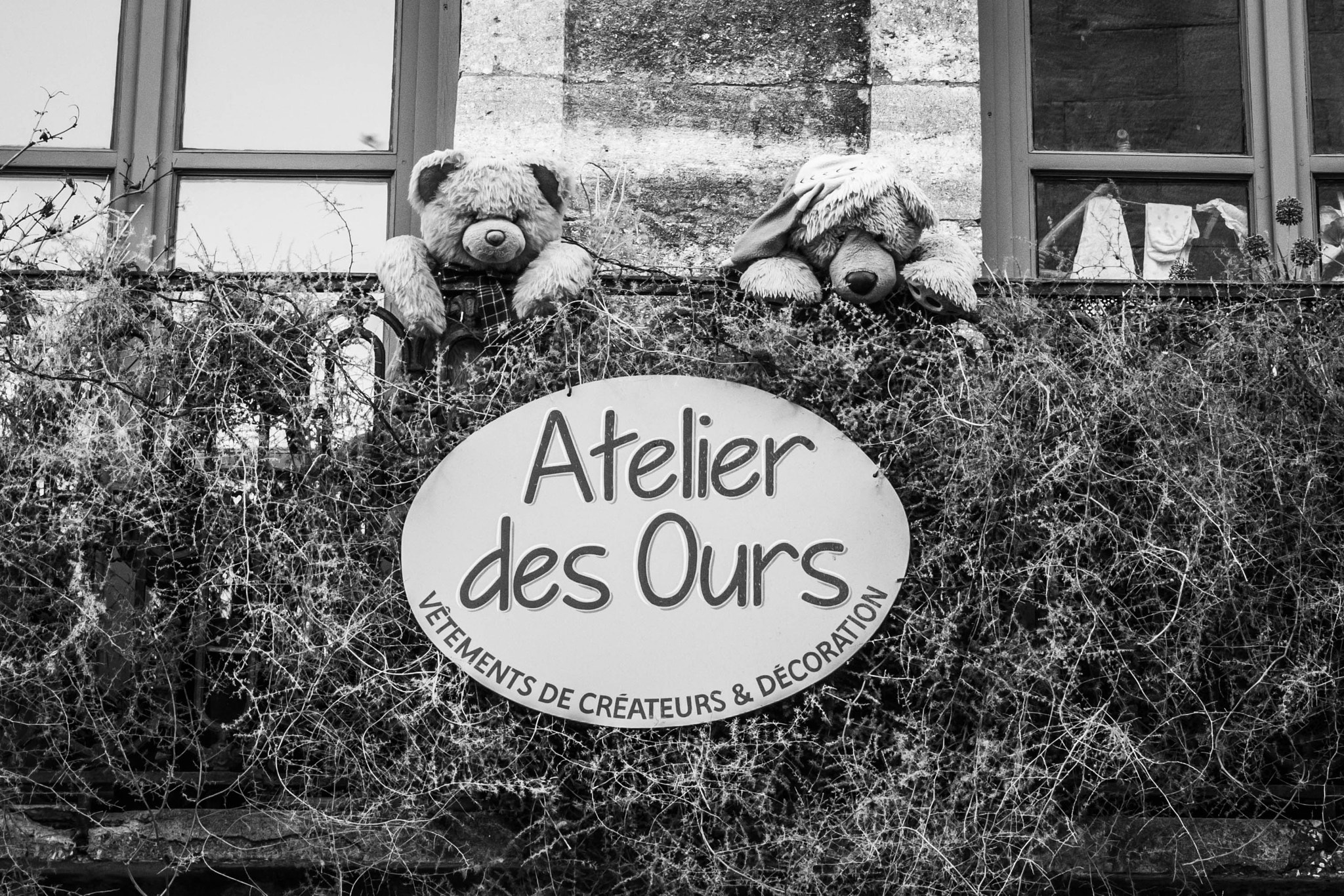 Nikon D7200 sample photo. Tout doux photography