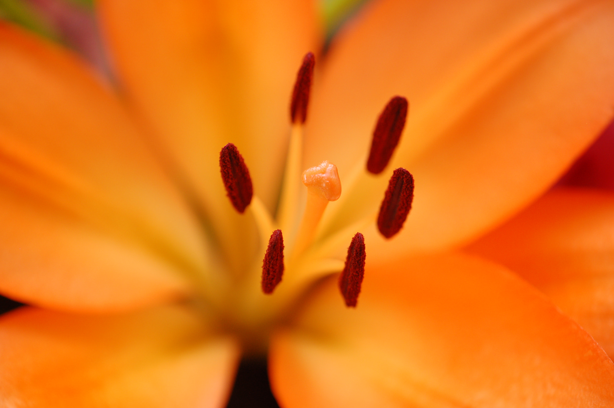 Nikon D50 sample photo