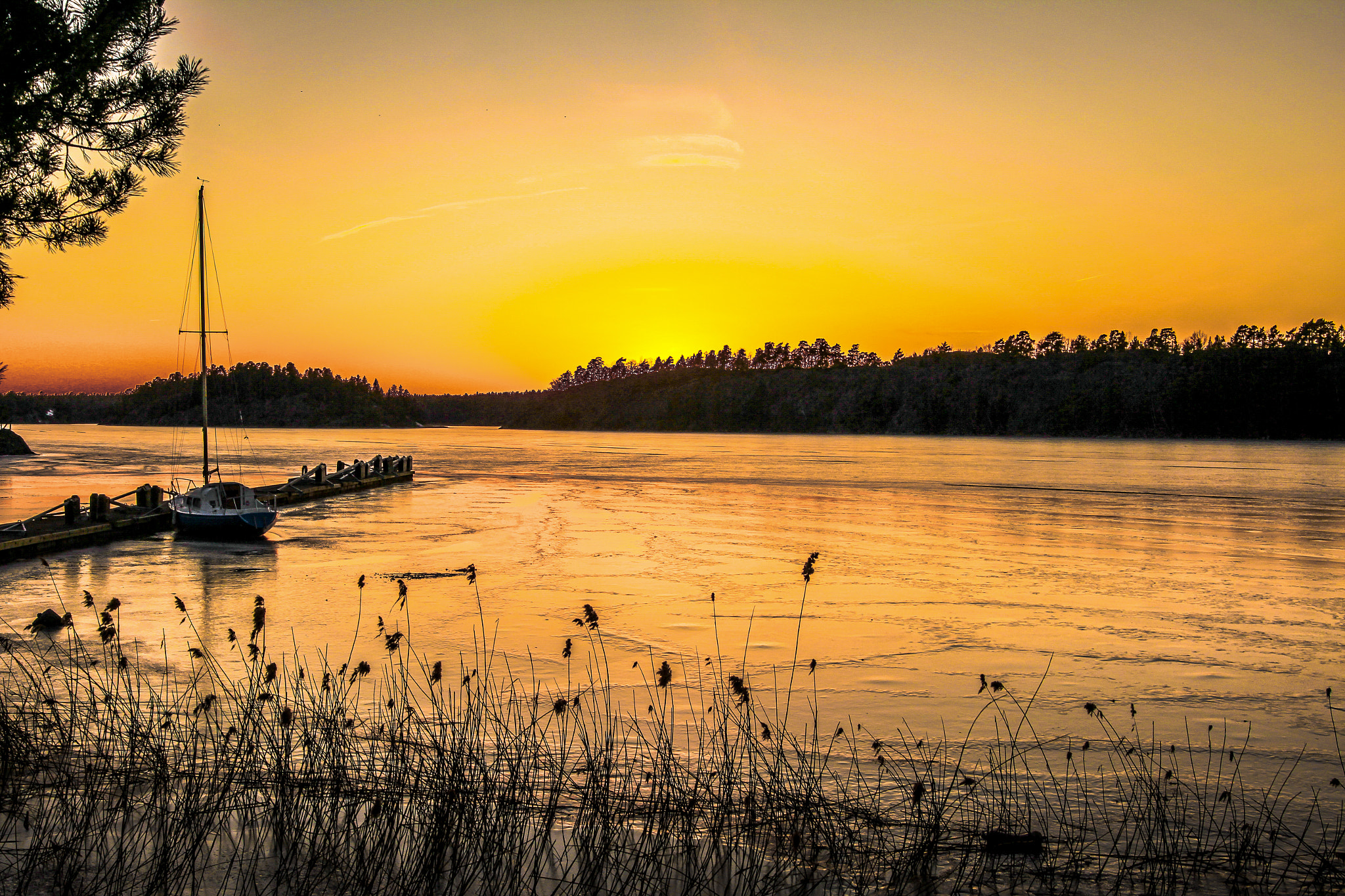 Canon EF 24-70mm F4L IS USM sample photo. Yellow sky photography